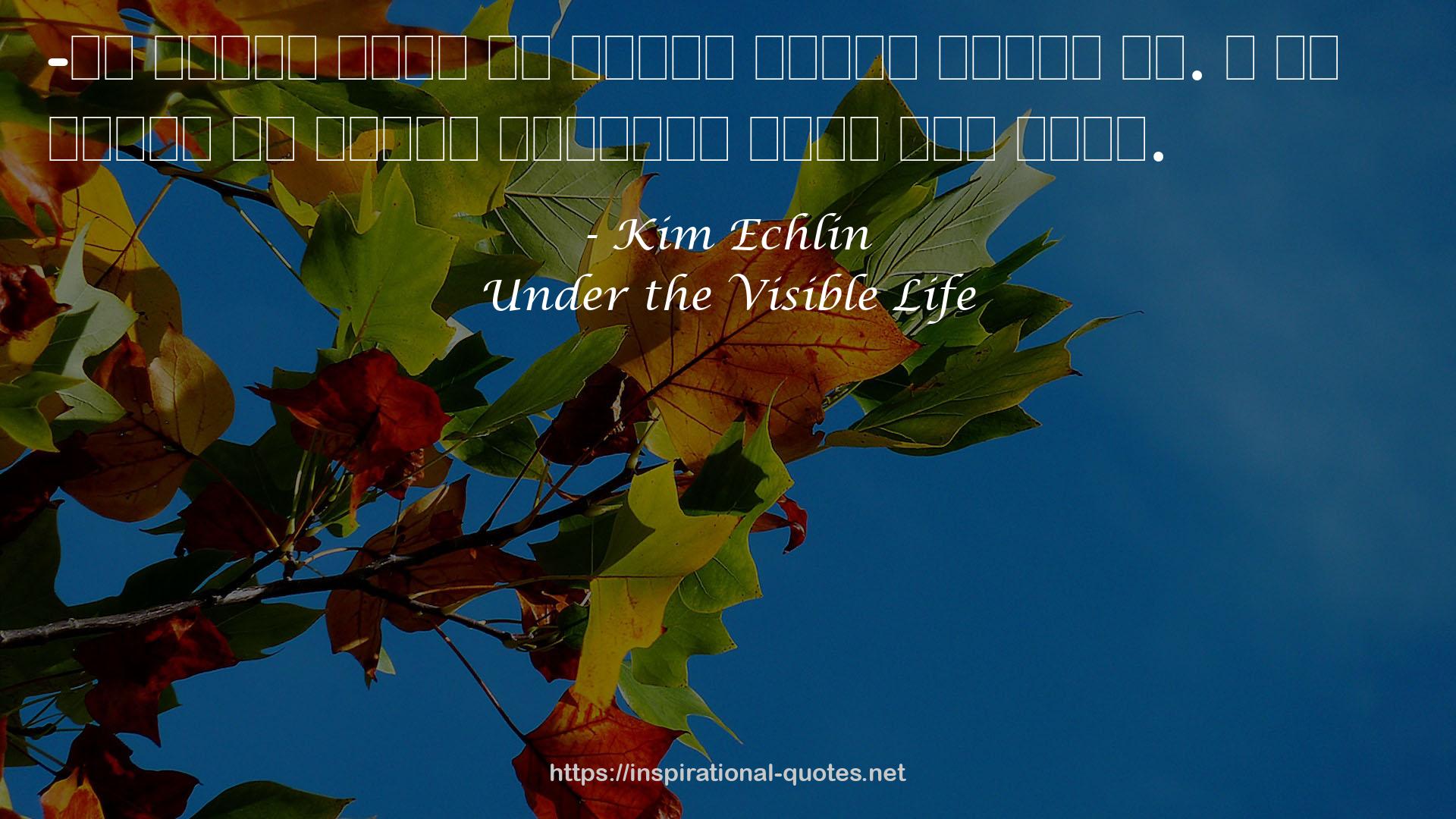 Under the Visible Life QUOTES