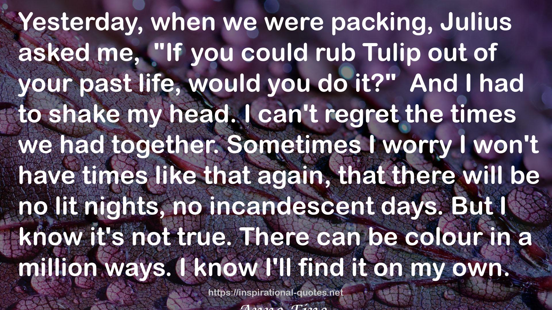 The Tulip Touch QUOTES