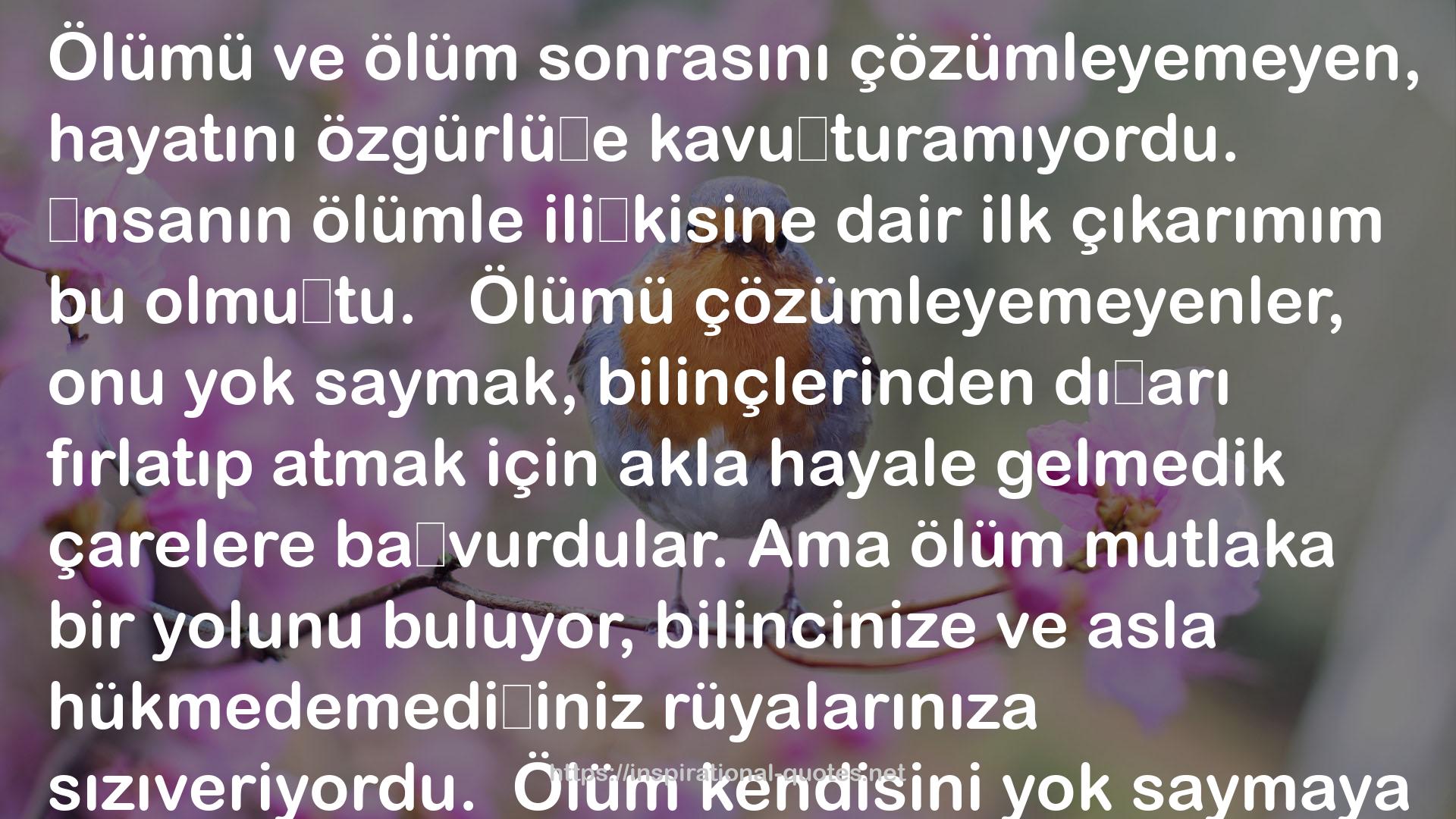 Mustafa Ulusoy QUOTES