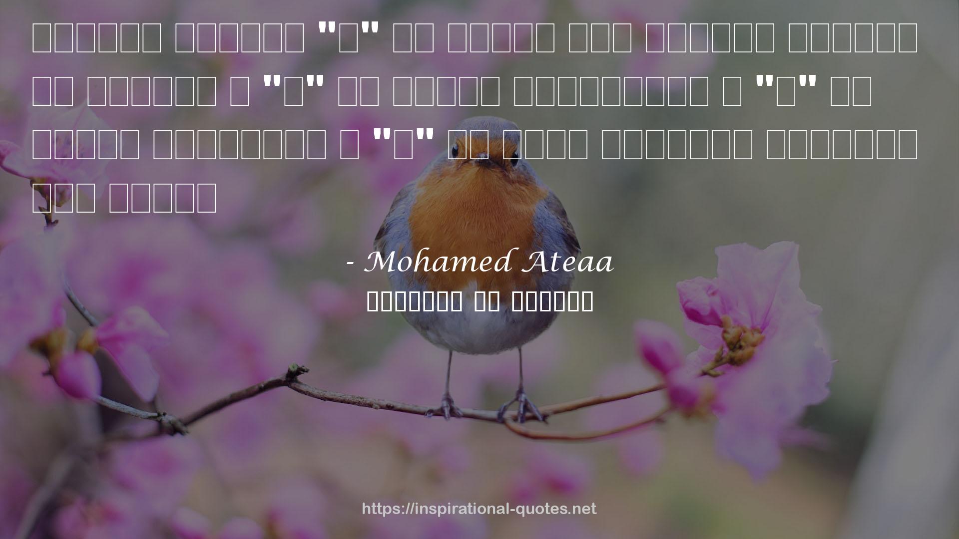 Mohamed Ateaa QUOTES