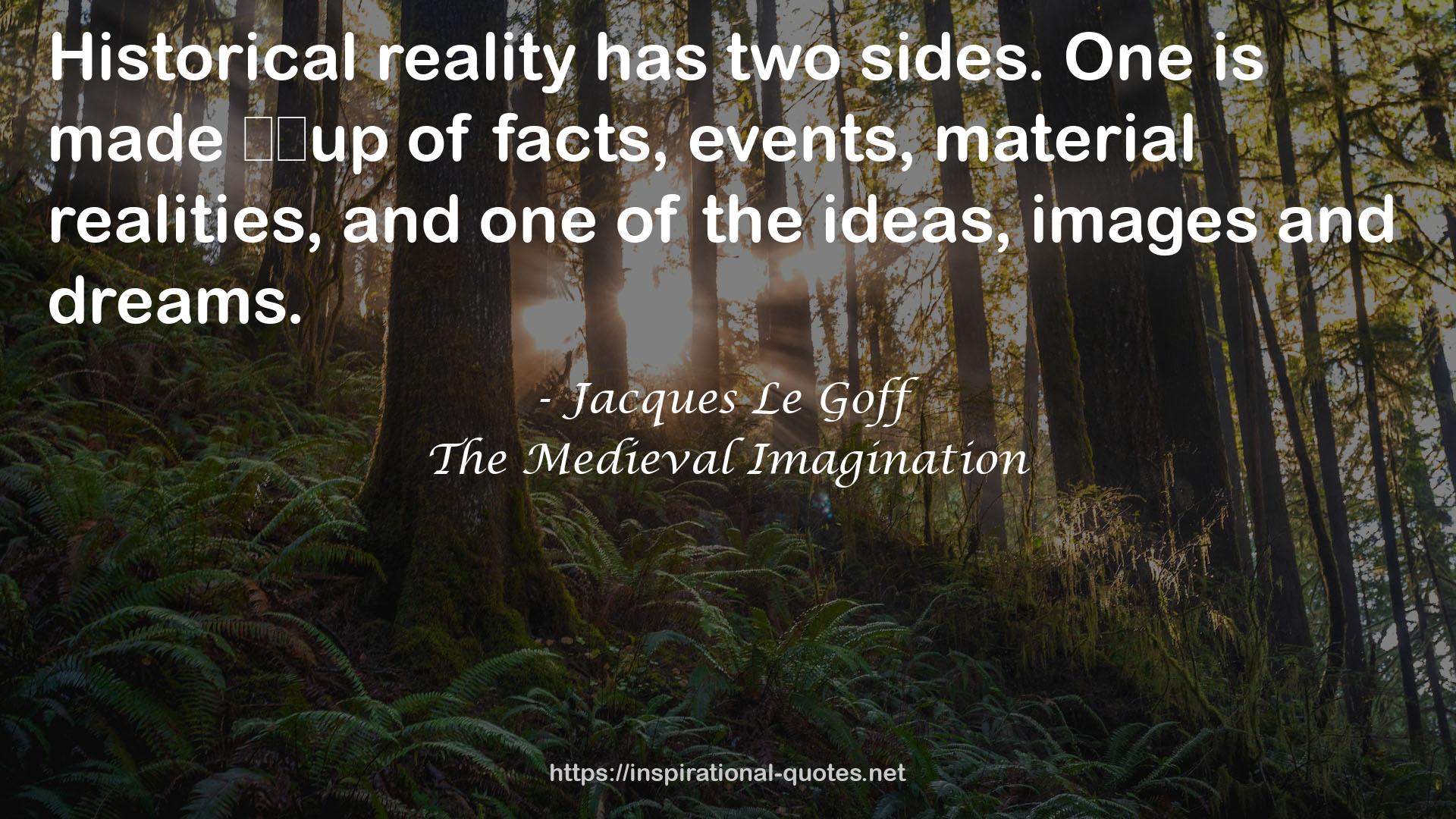 The Medieval Imagination QUOTES