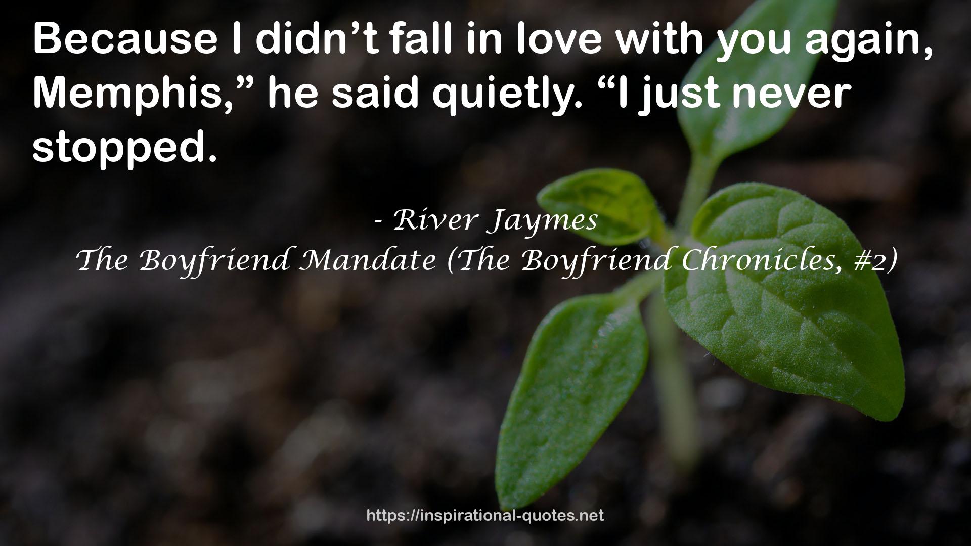 The Boyfriend Mandate (The Boyfriend Chronicles, #2) QUOTES