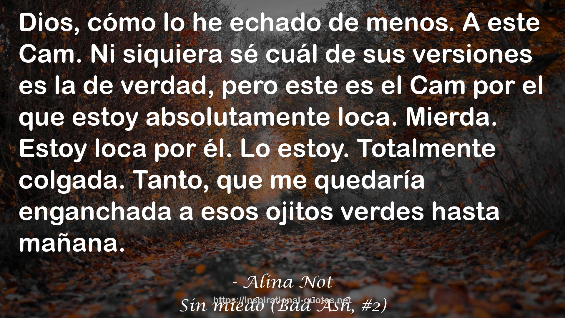 Sin miedo (Bad Ash, #2) QUOTES