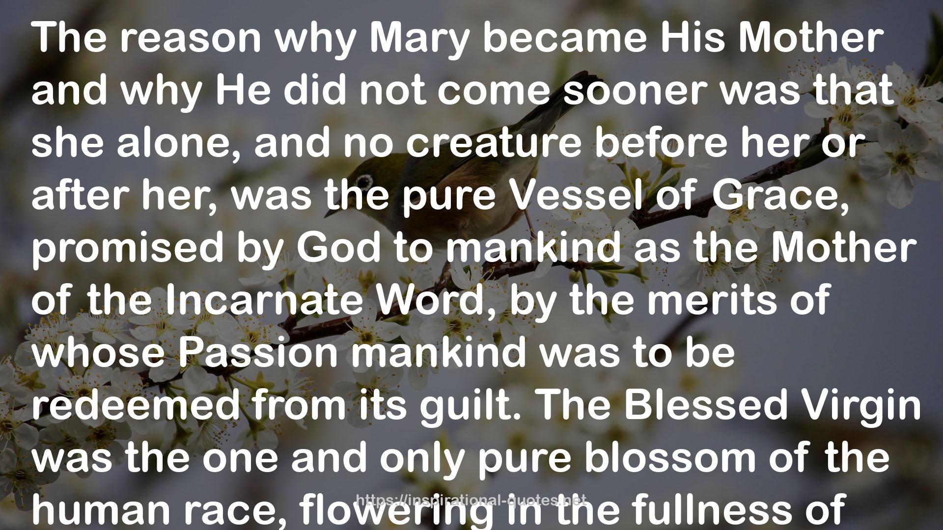 The Life of the Blessed Virgin Mary: From the Visions of Ven. Anne Catherine Emmerich QUOTES