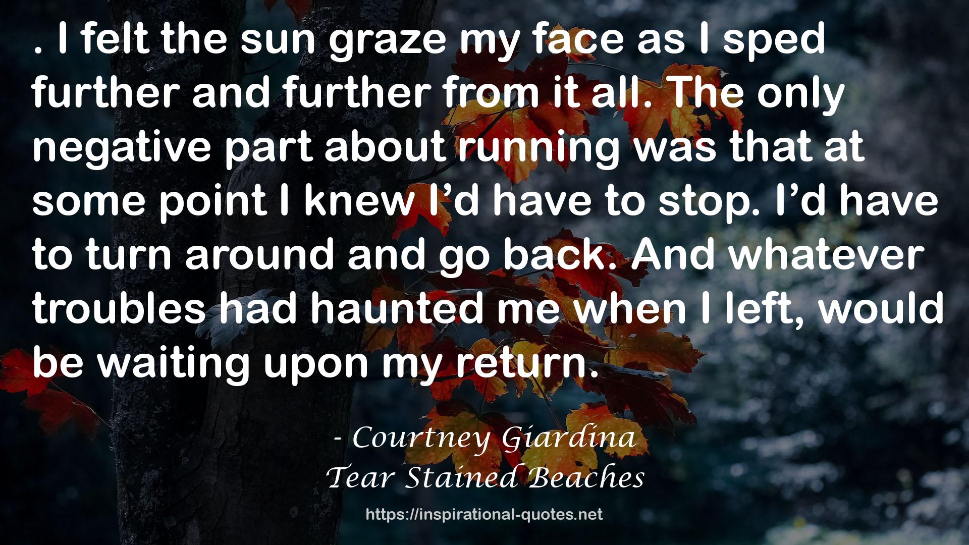 Tear Stained Beaches QUOTES