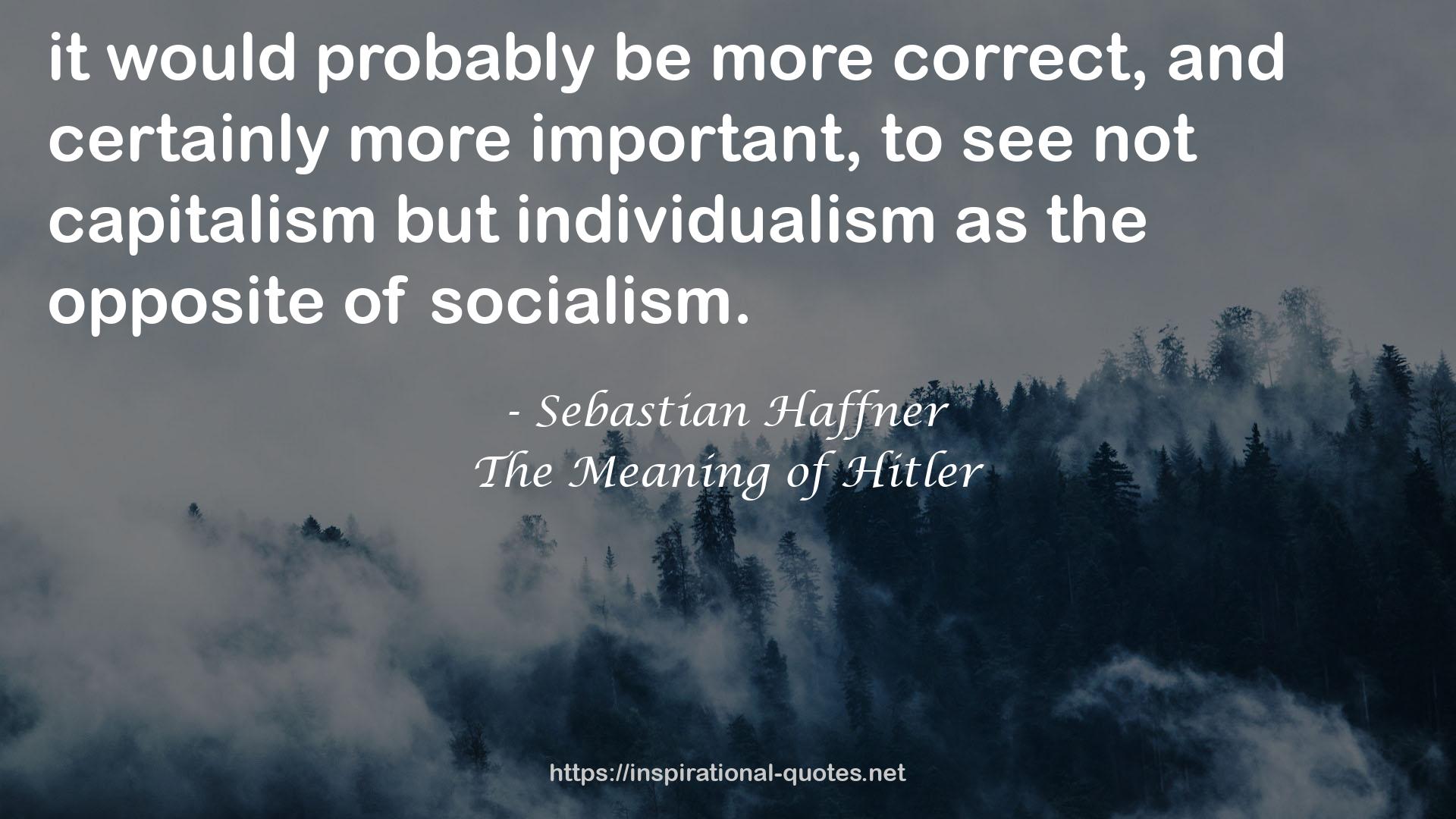 The Meaning of Hitler QUOTES