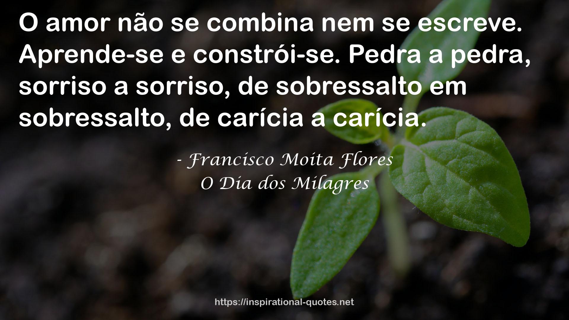 O Dia dos Milagres QUOTES