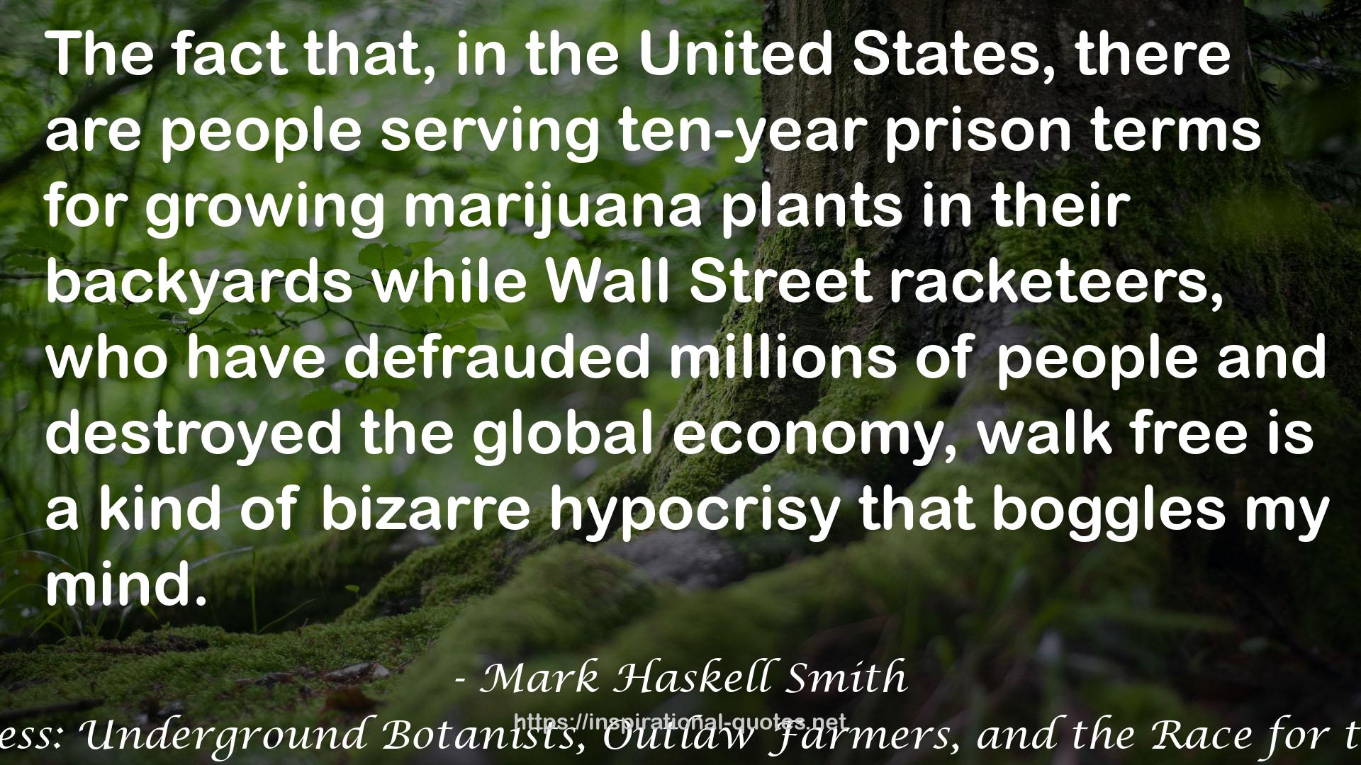 Mark Haskell Smith QUOTES