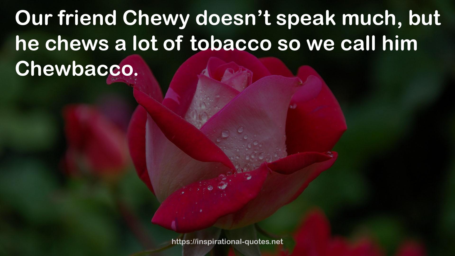 Chewy  QUOTES