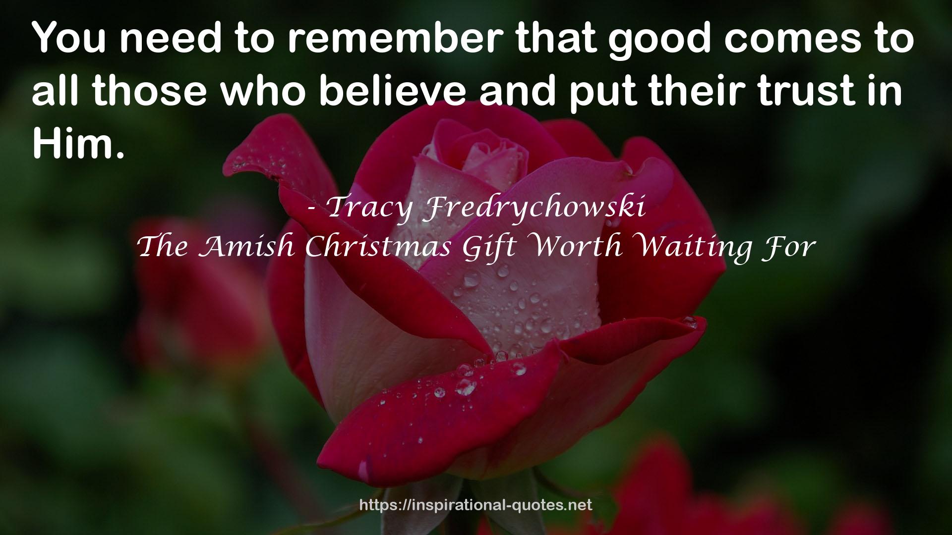 The Amish Christmas Gift Worth Waiting For QUOTES