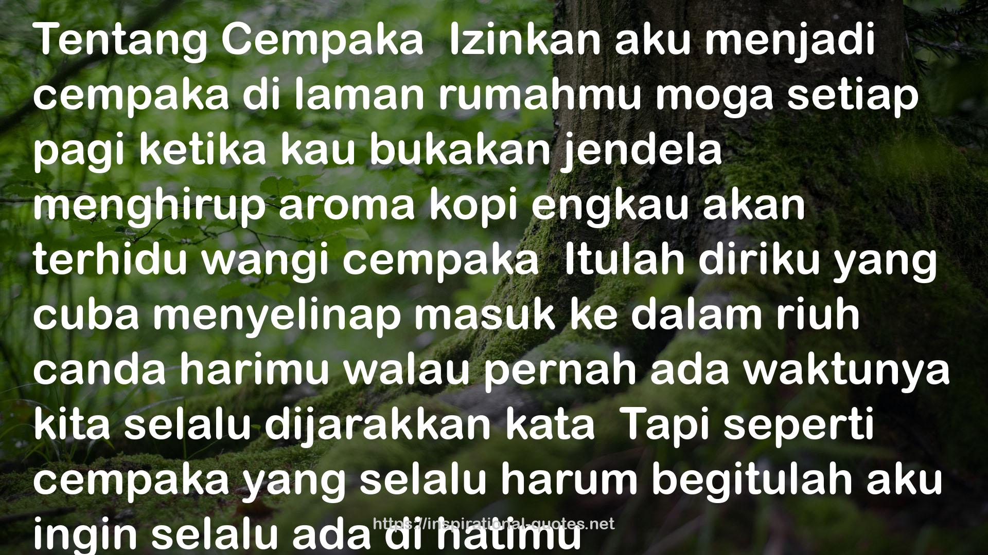 Kumpulan Puisi Negeri Kunang-Kunang QUOTES