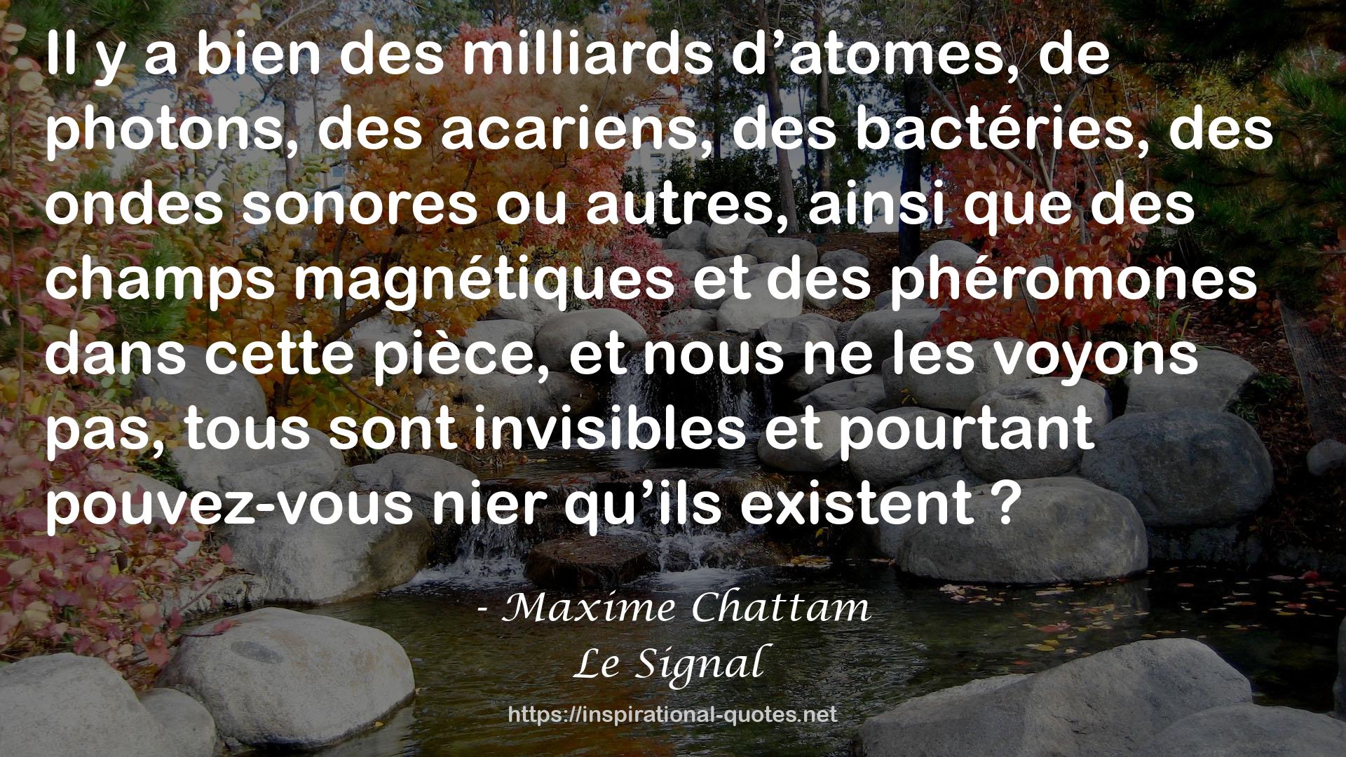 Le Signal QUOTES