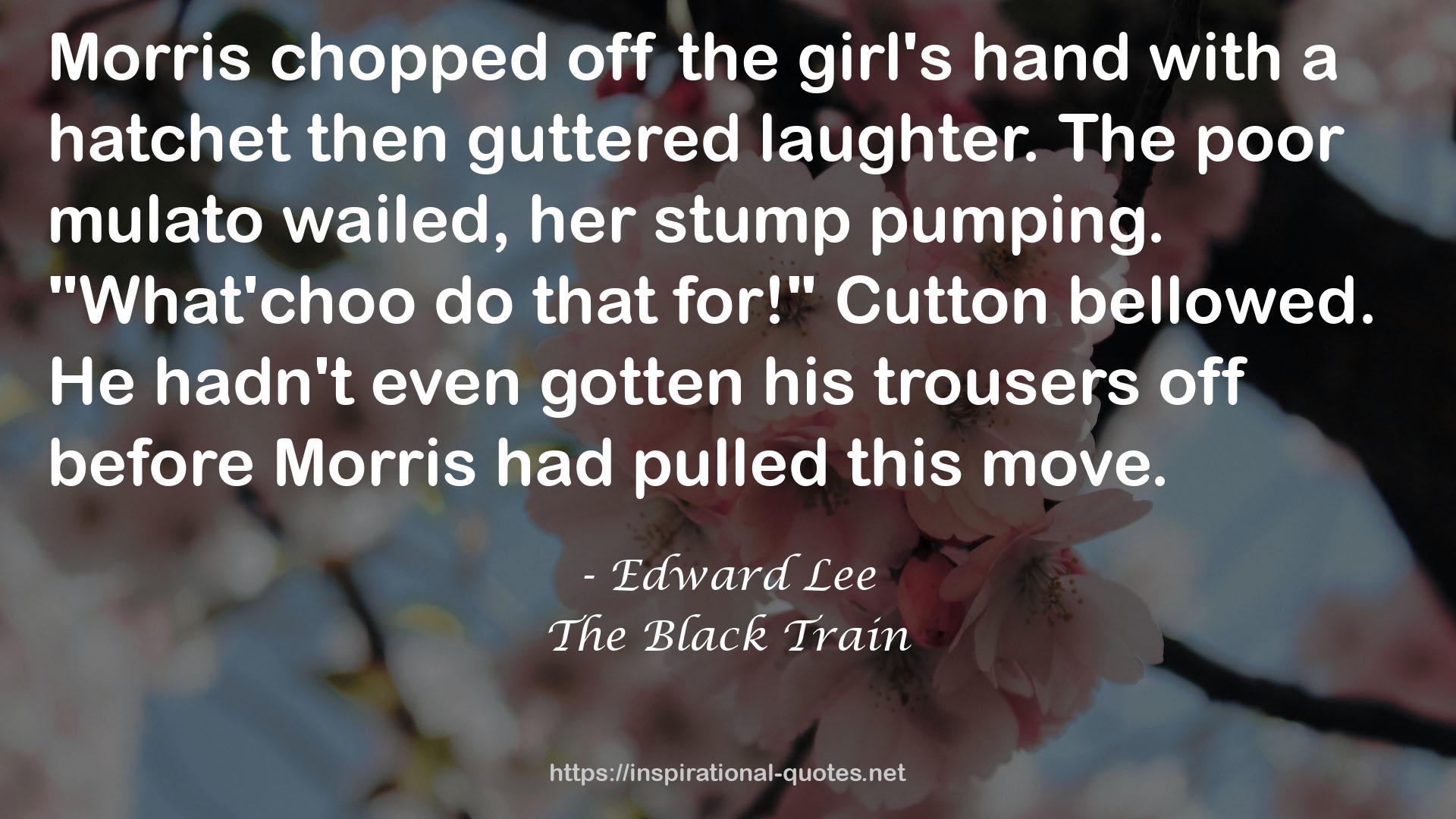 The Black Train QUOTES