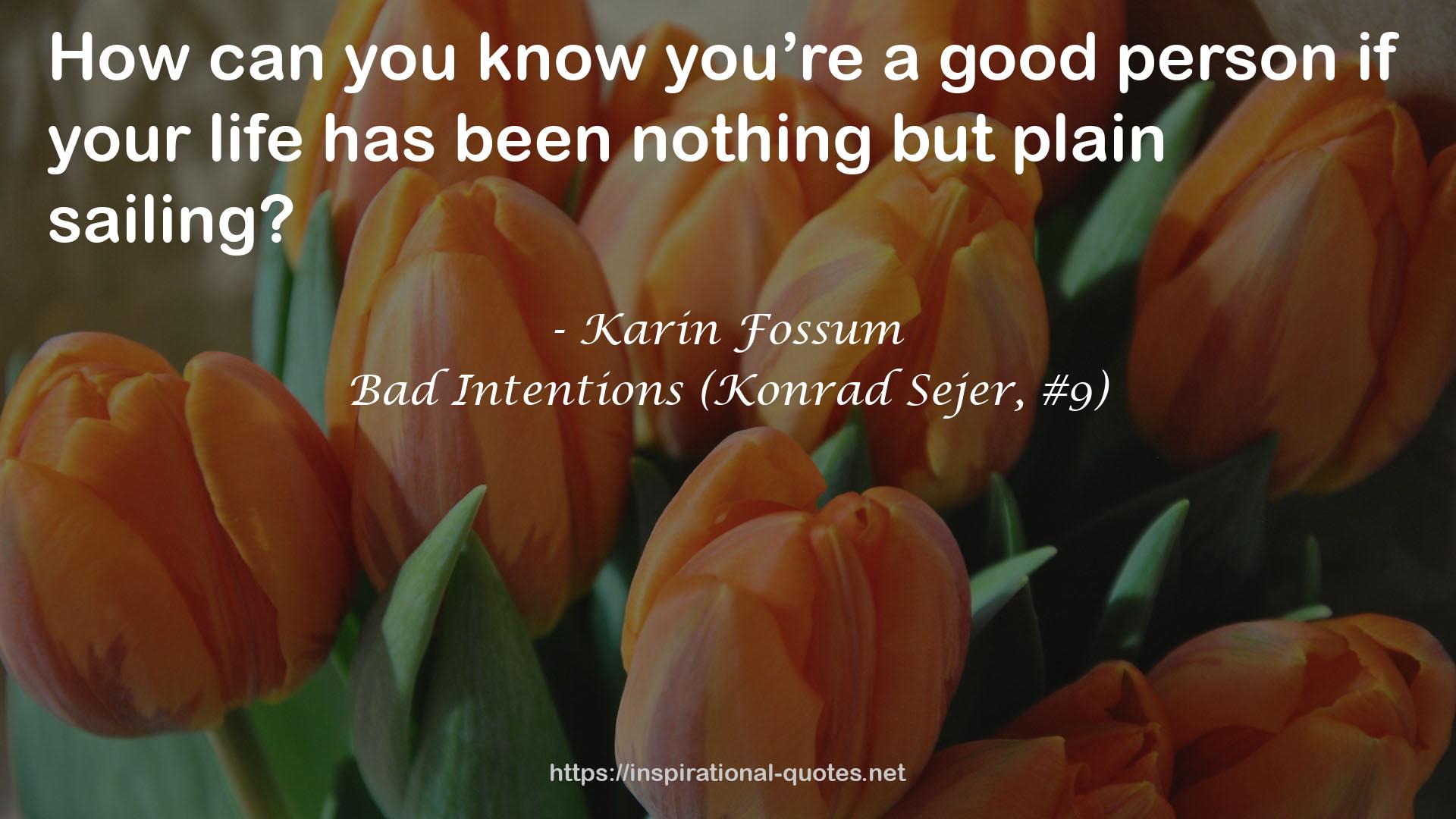 Bad Intentions (Konrad Sejer, #9) QUOTES