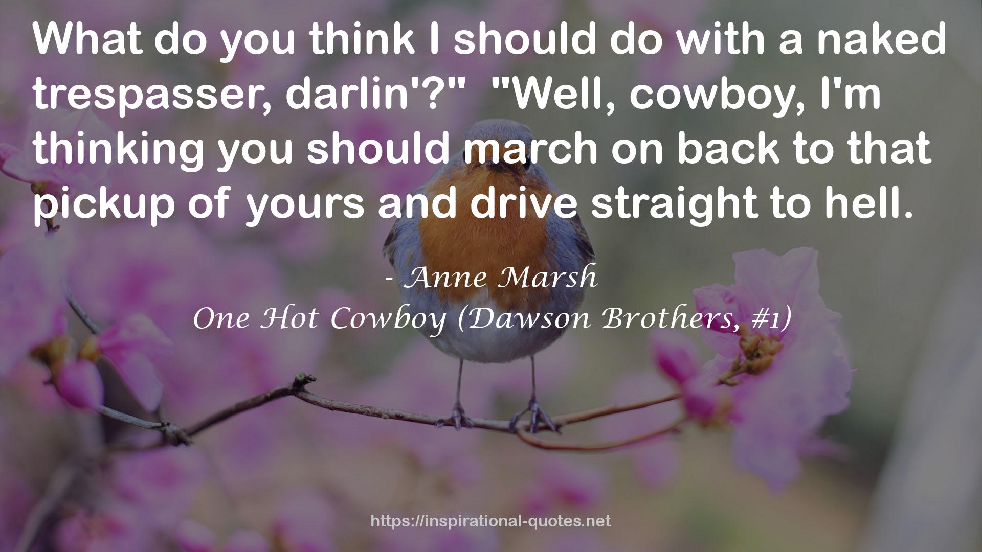 One Hot Cowboy (Dawson Brothers, #1) QUOTES