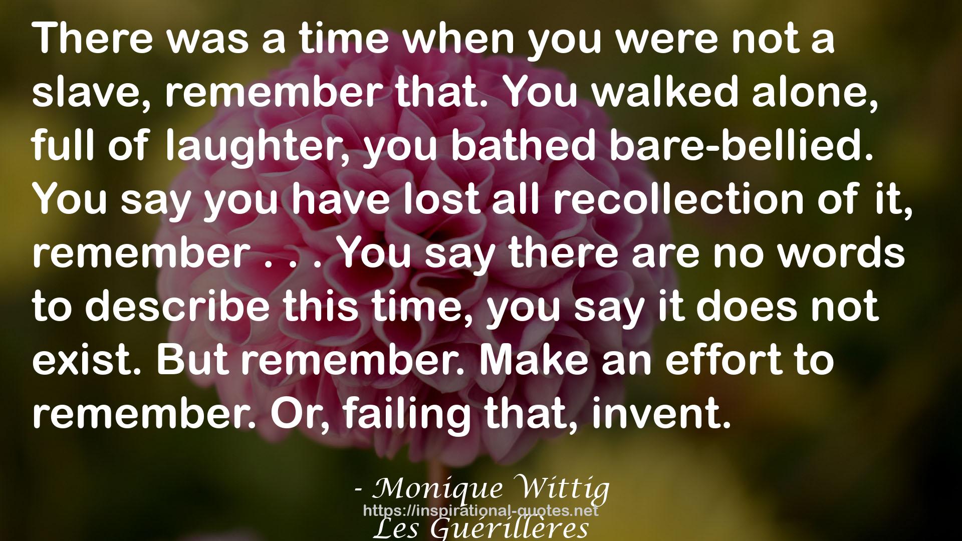 Monique Wittig QUOTES