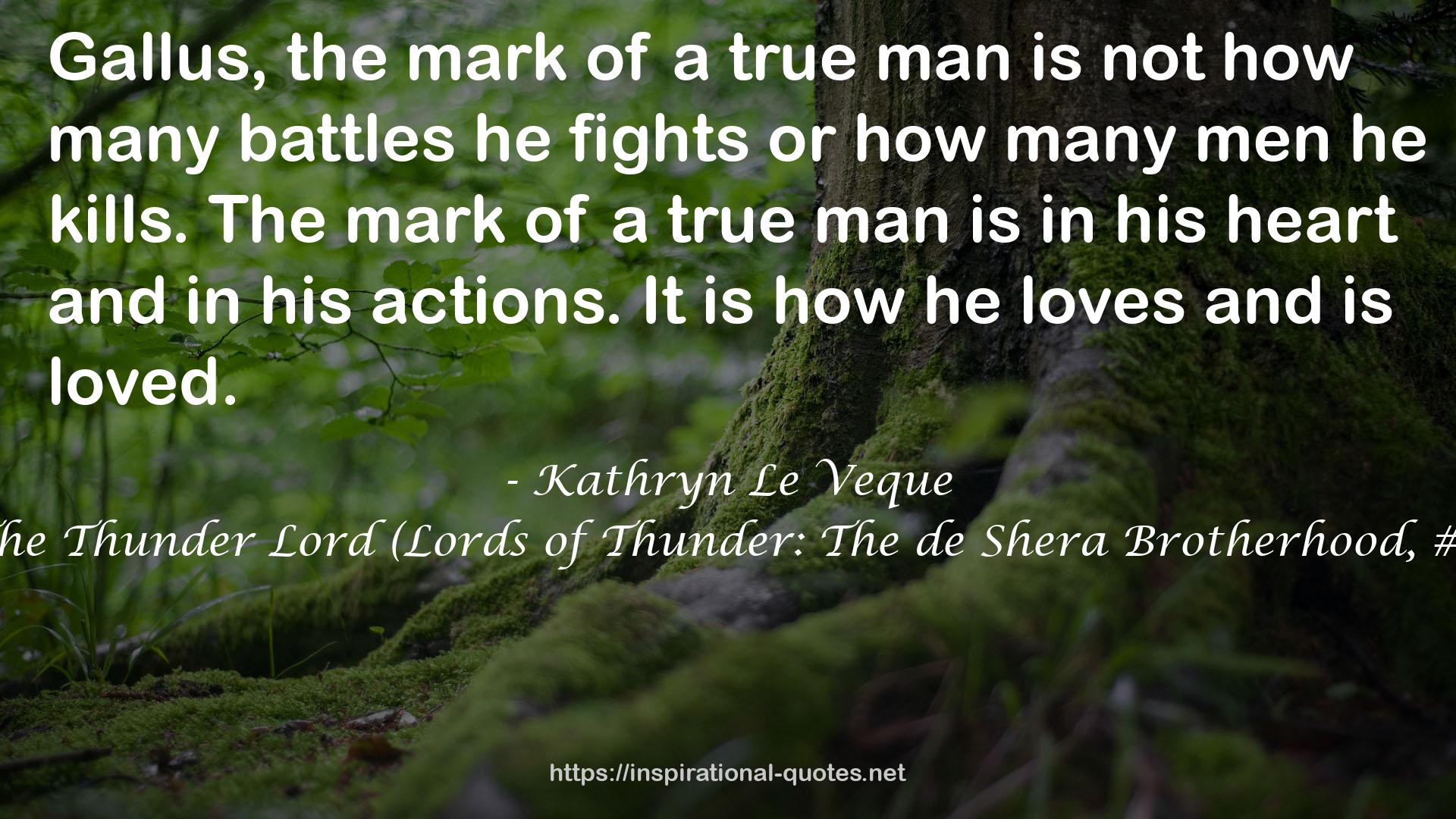 The Thunder Lord (Lords of Thunder: The de Shera Brotherhood, #1) QUOTES