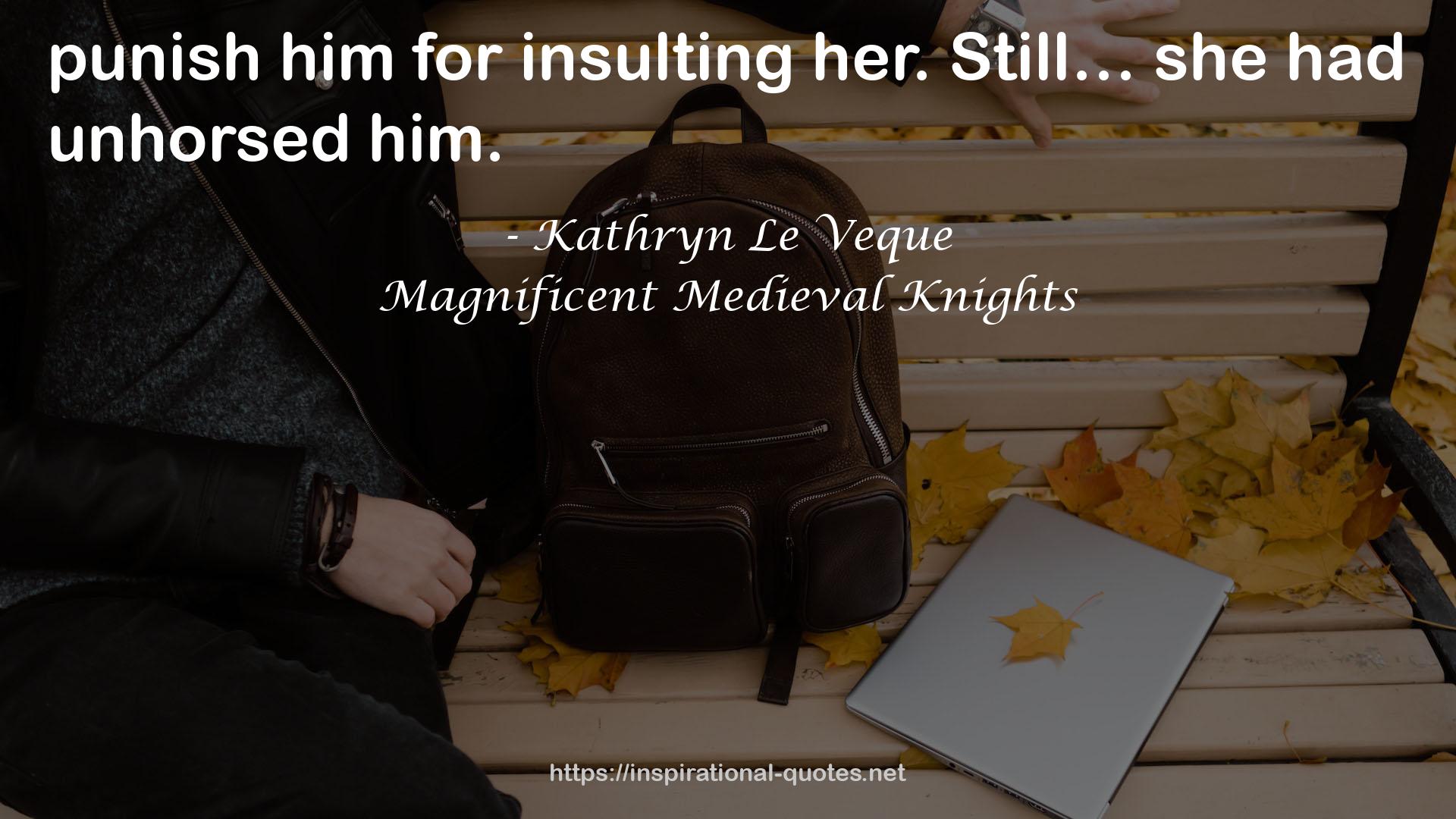 Magnificent Medieval Knights QUOTES