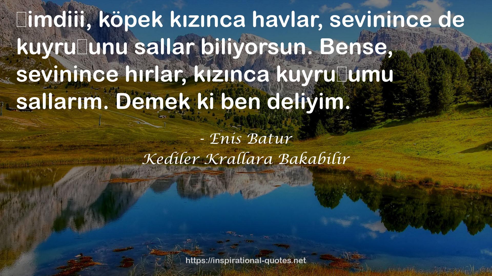 Kediler Krallara Bakabilir QUOTES