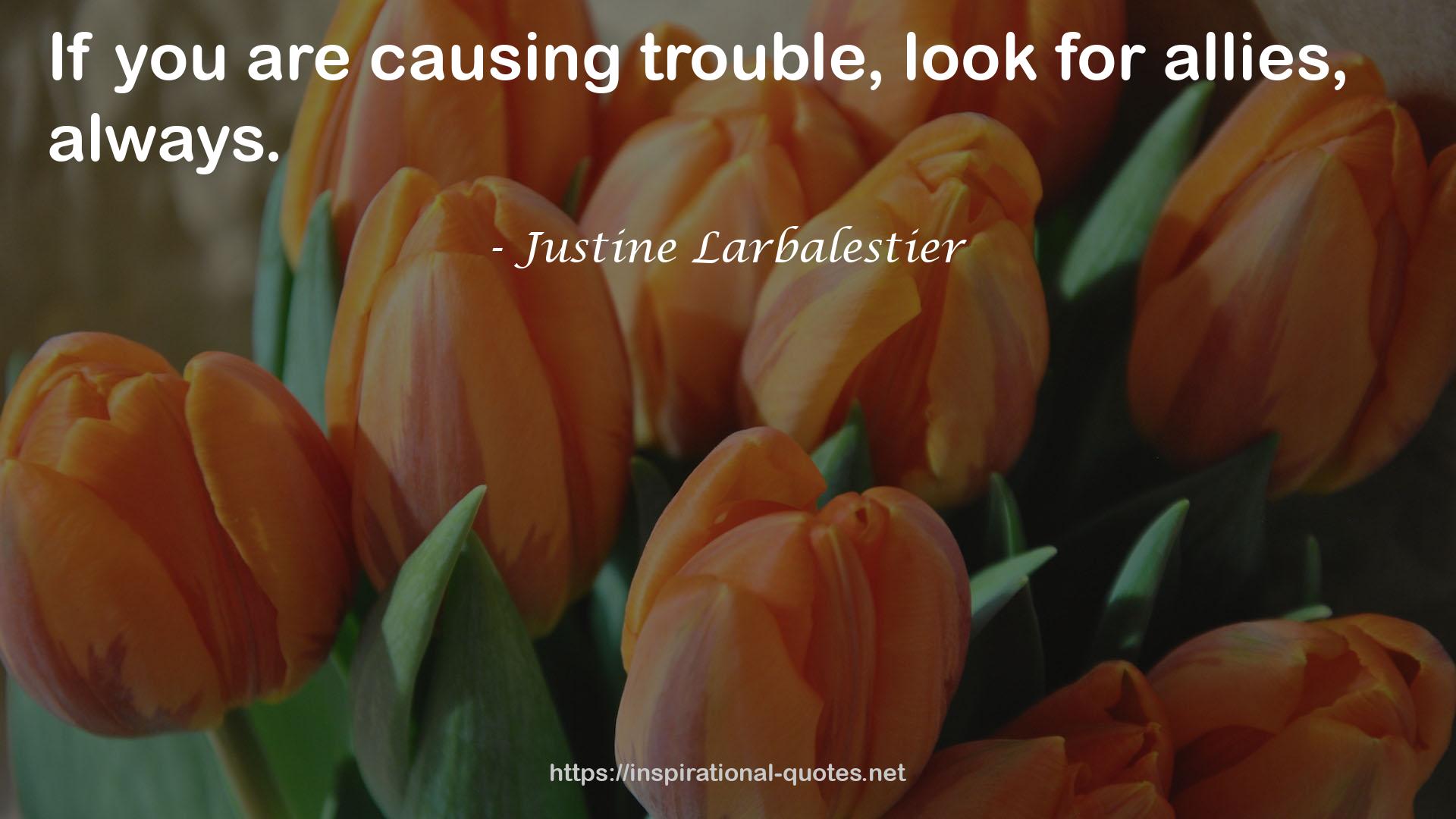 Justine Larbalestier QUOTES