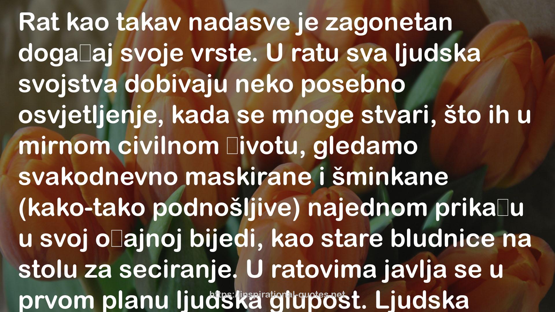 Deset krvavih godina i drugi politički eseji QUOTES