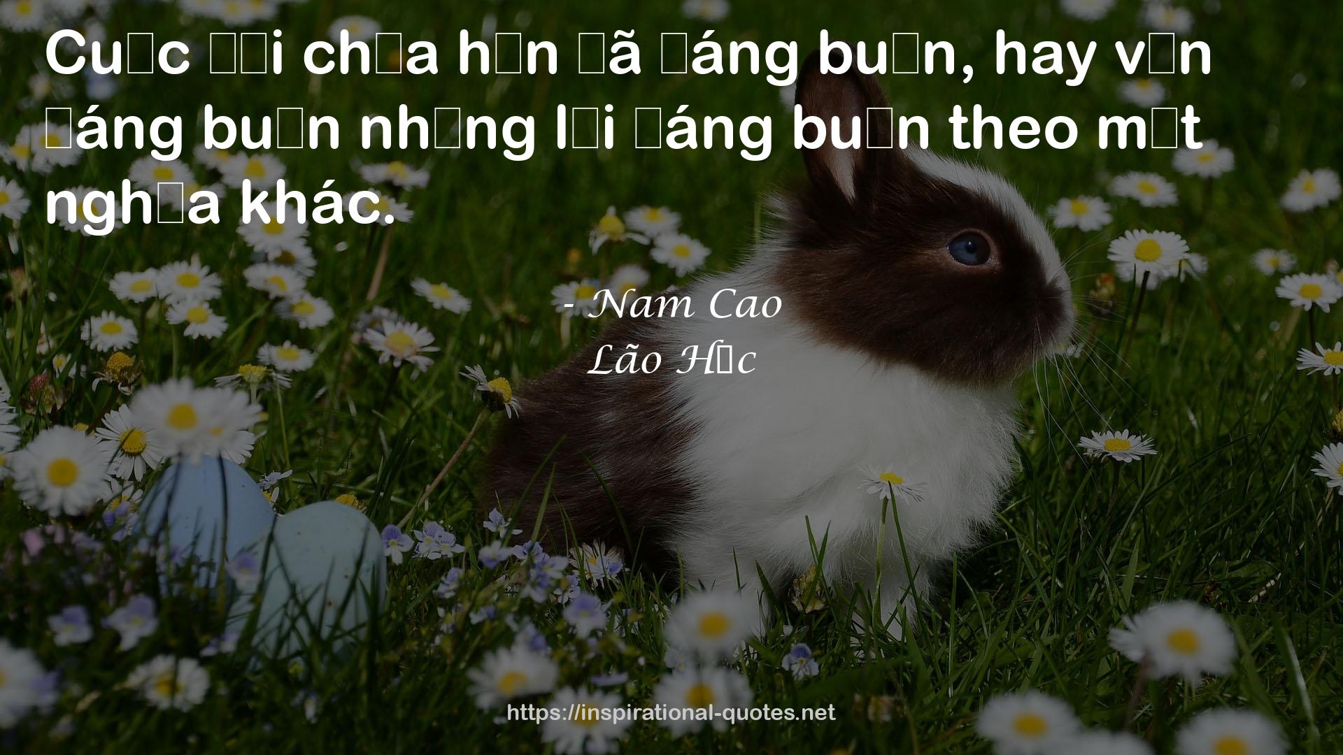 Lão Hạc QUOTES