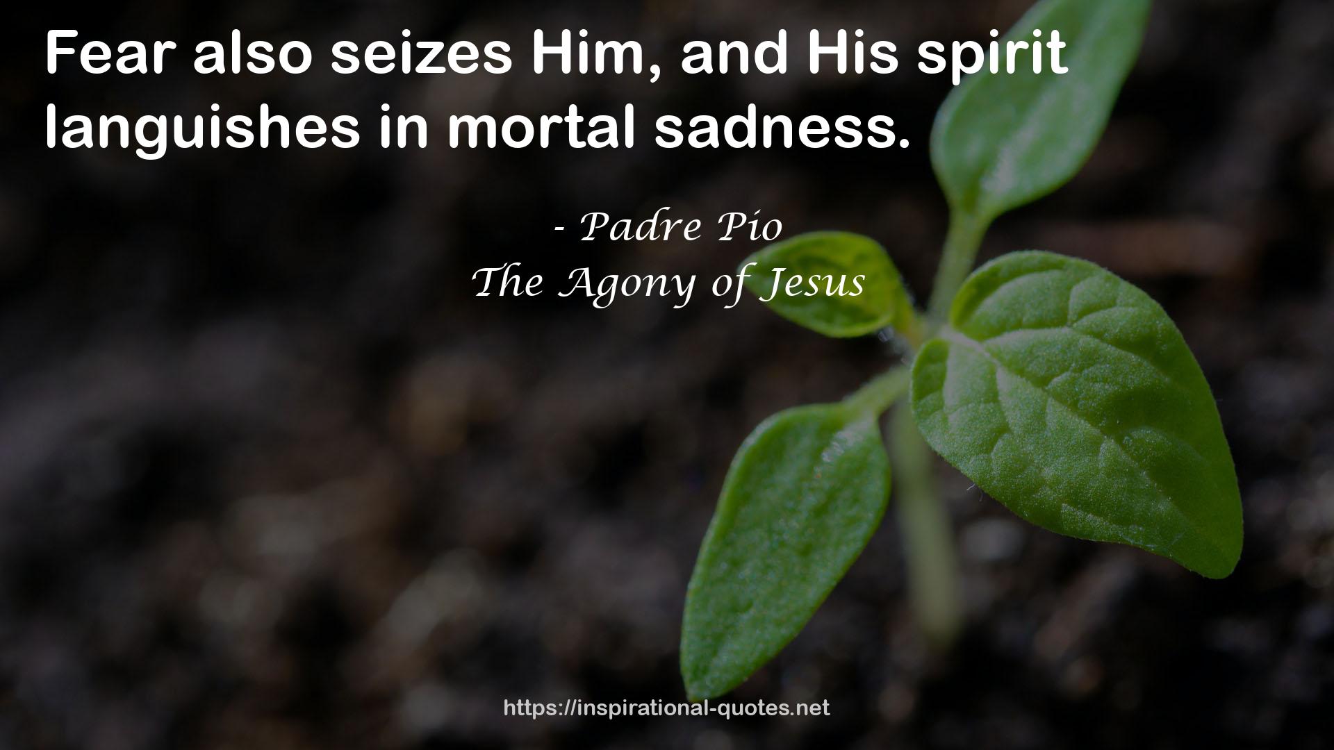 The Agony of Jesus QUOTES