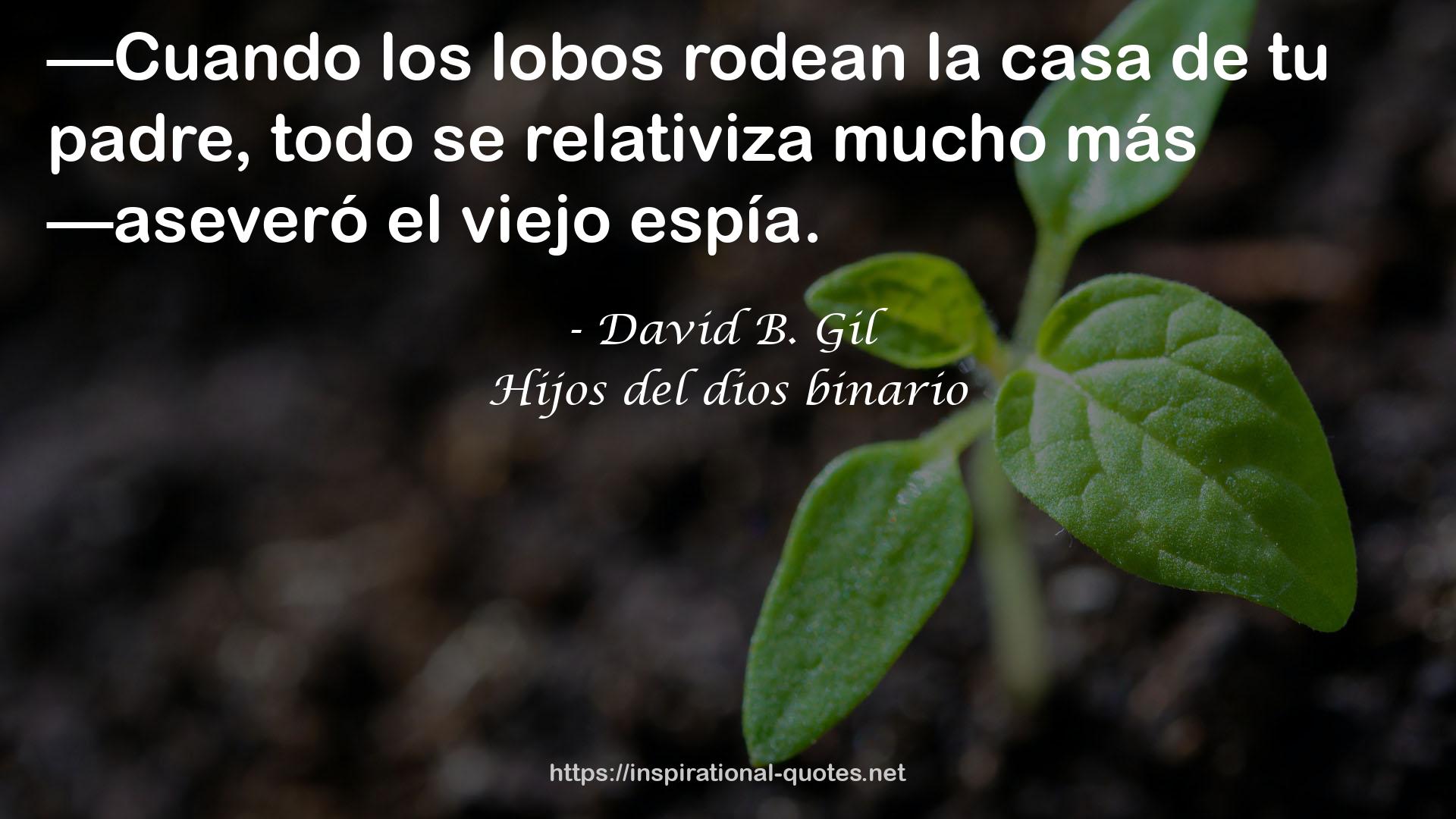 David B. Gil QUOTES