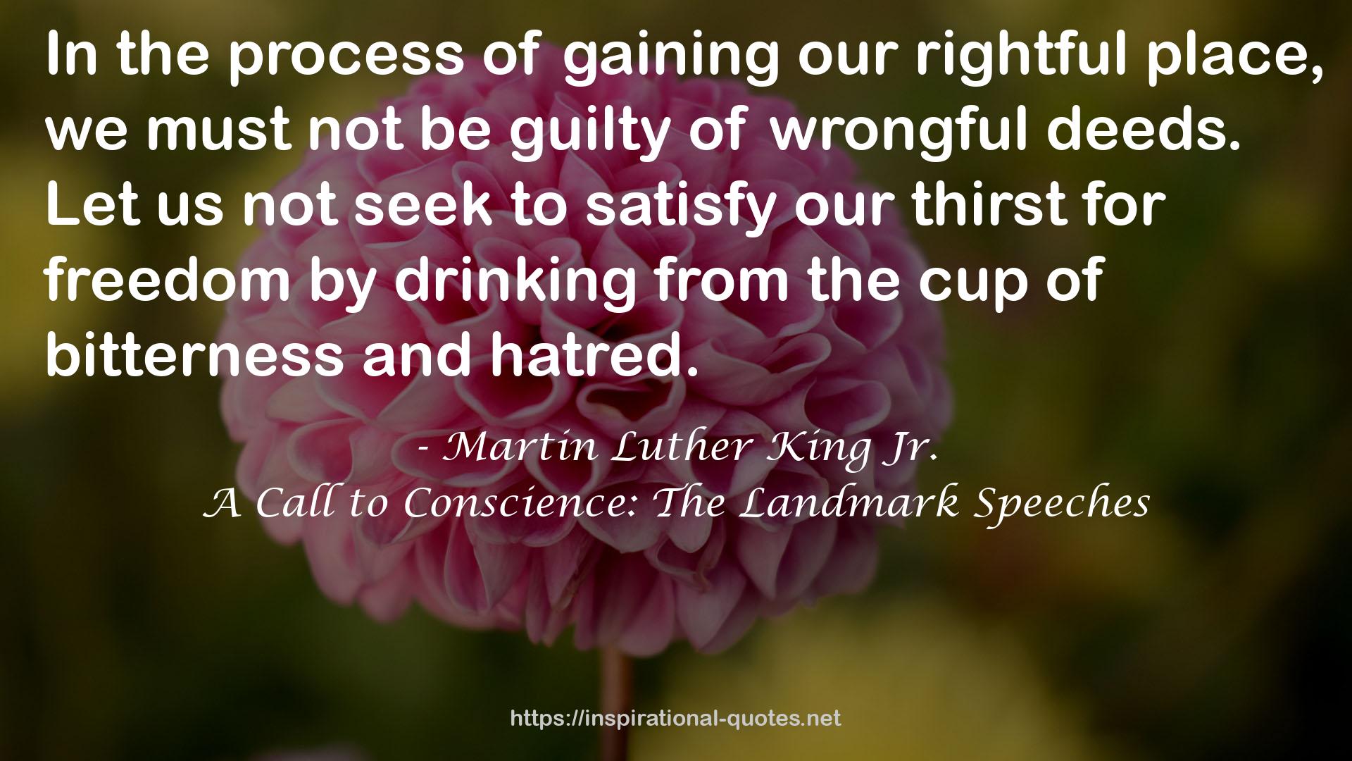 A Call to Conscience: The Landmark Speeches QUOTES