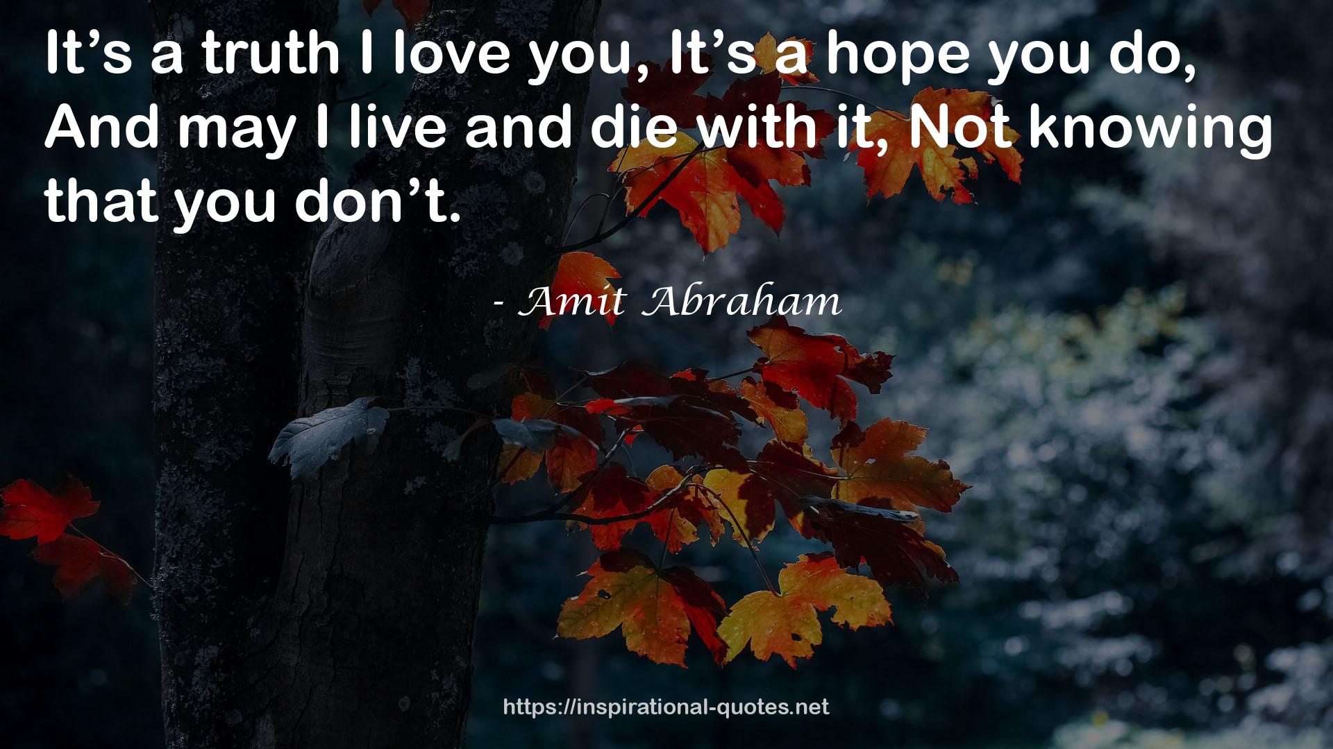 Amit Abraham QUOTES