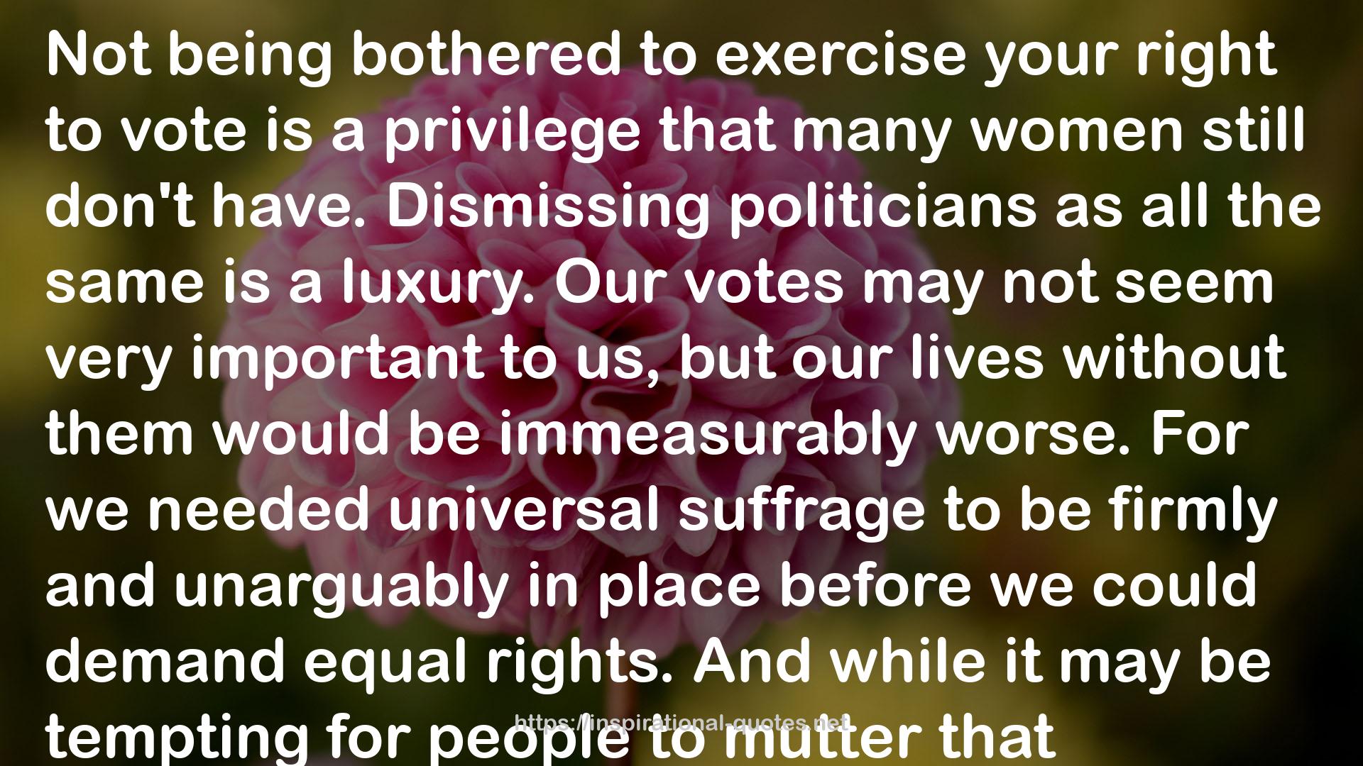 universal suffrage  QUOTES