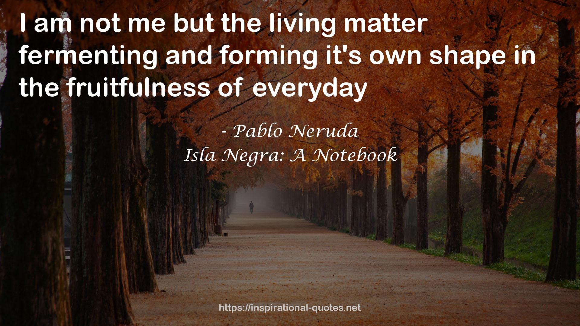 Isla Negra: A Notebook QUOTES