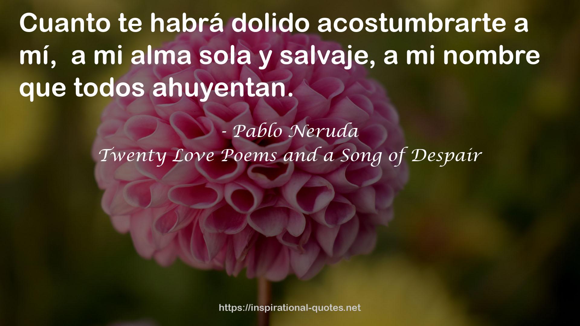 Twenty Love Poems and a Song of Despair QUOTES