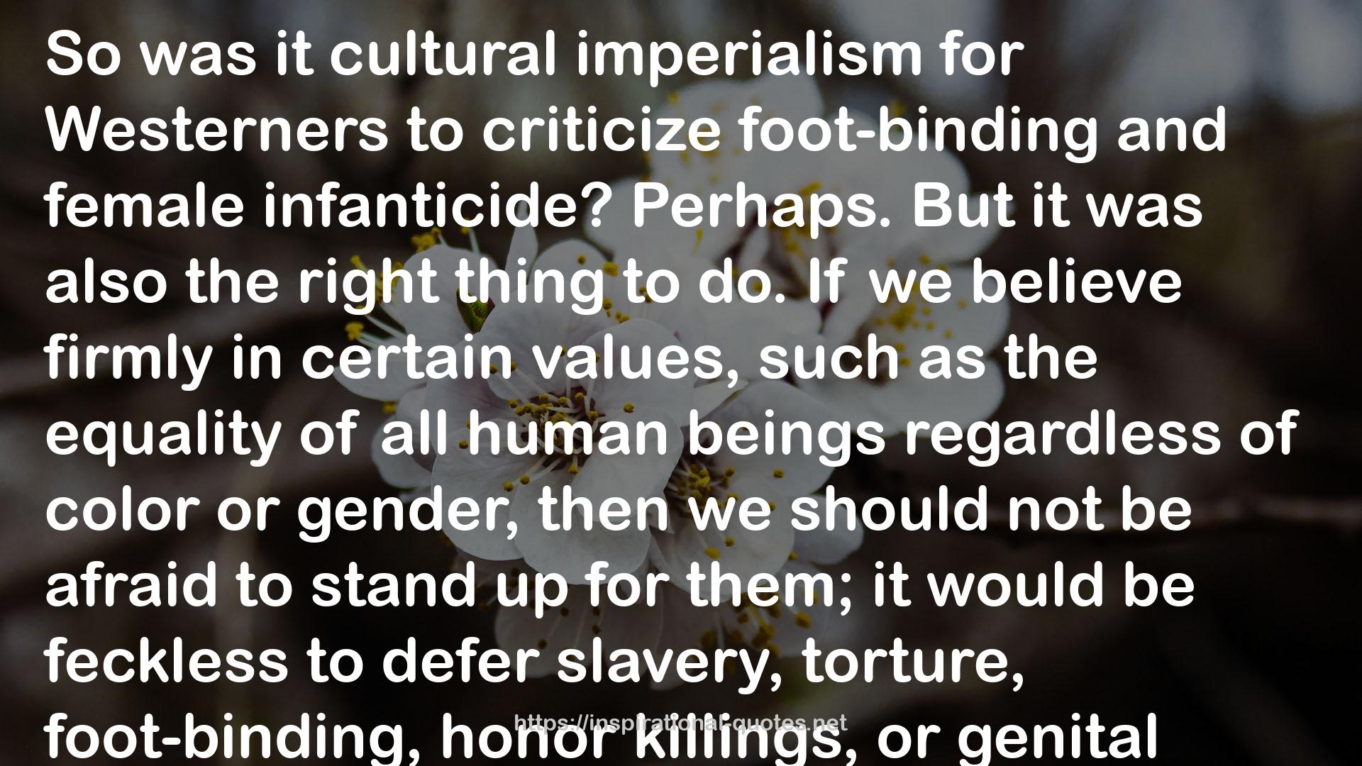 cultural imperialism  QUOTES