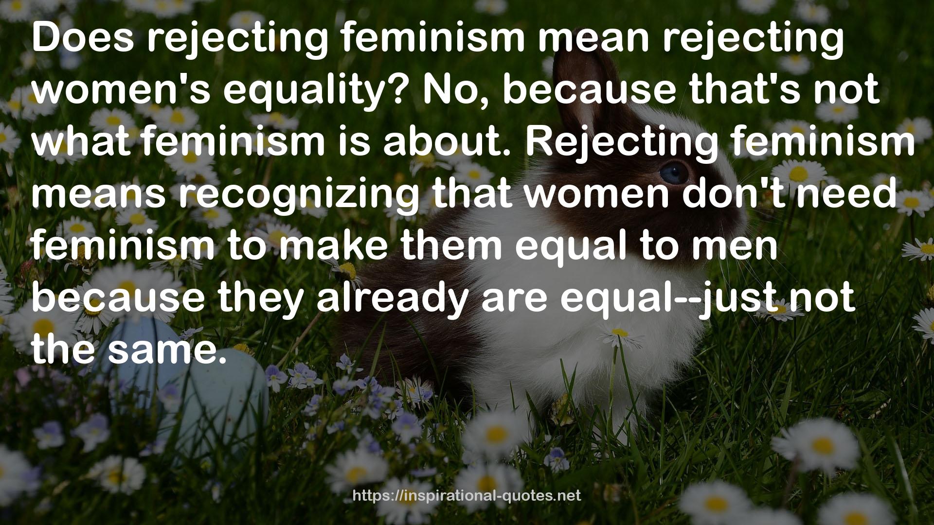 what feminism  QUOTES