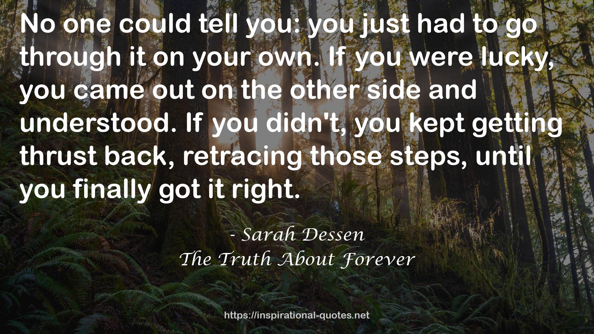 The Truth About Forever QUOTES