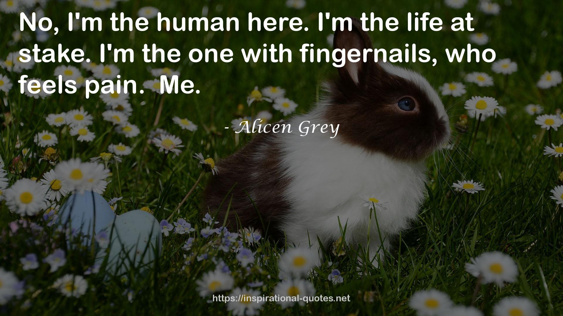 Alicen Grey QUOTES