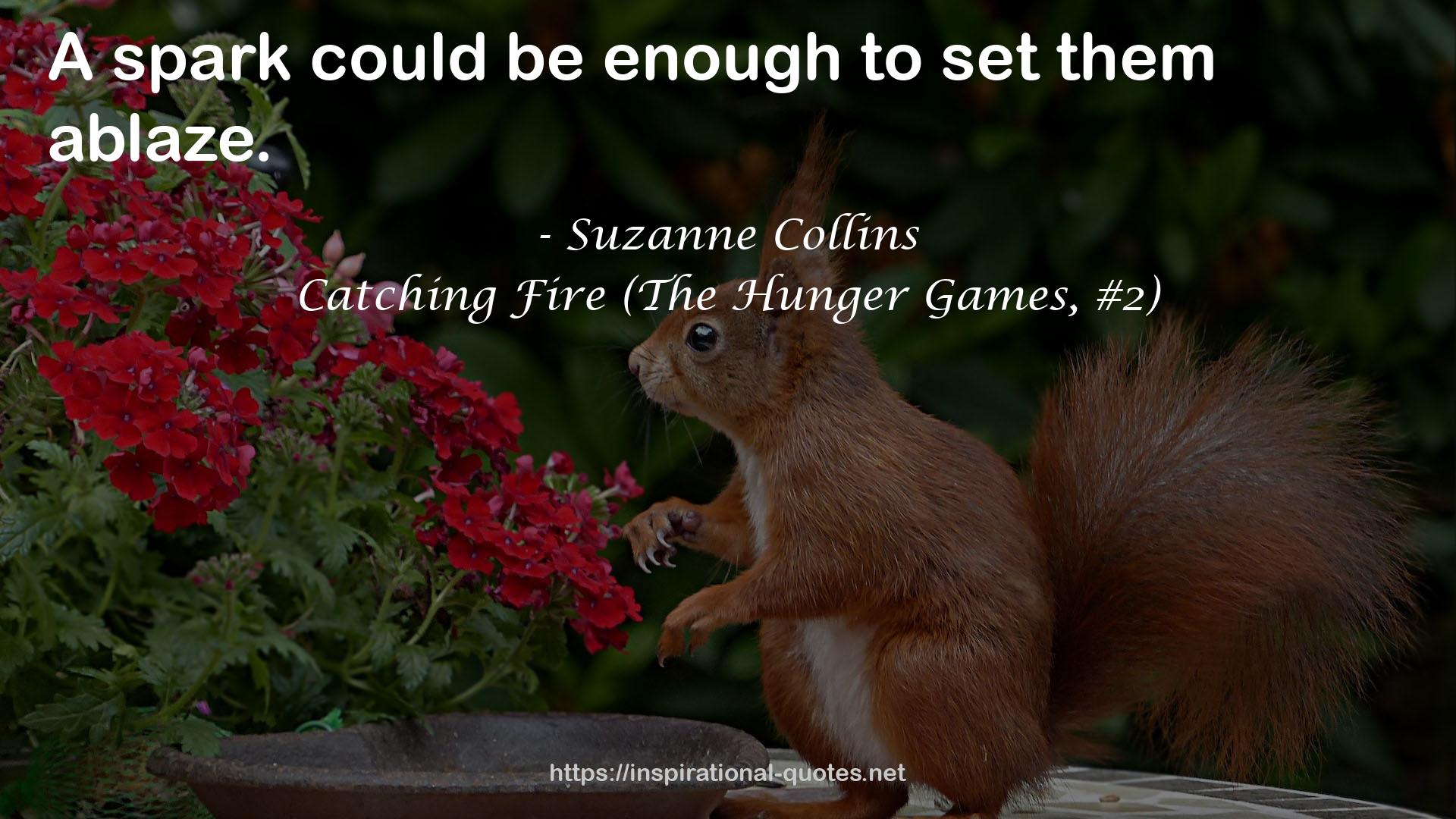 Catching Fire (The Hunger Games, #2) QUOTES
