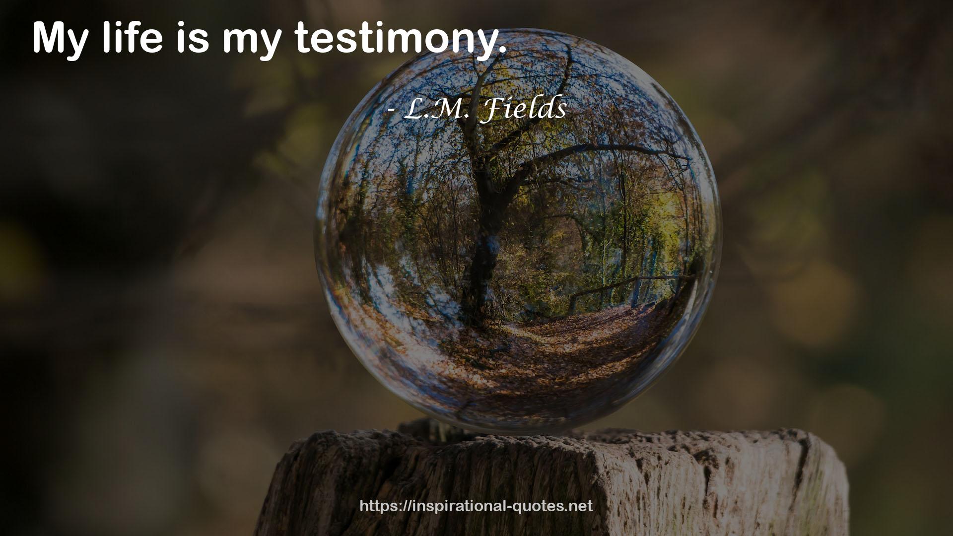 my testimony  QUOTES