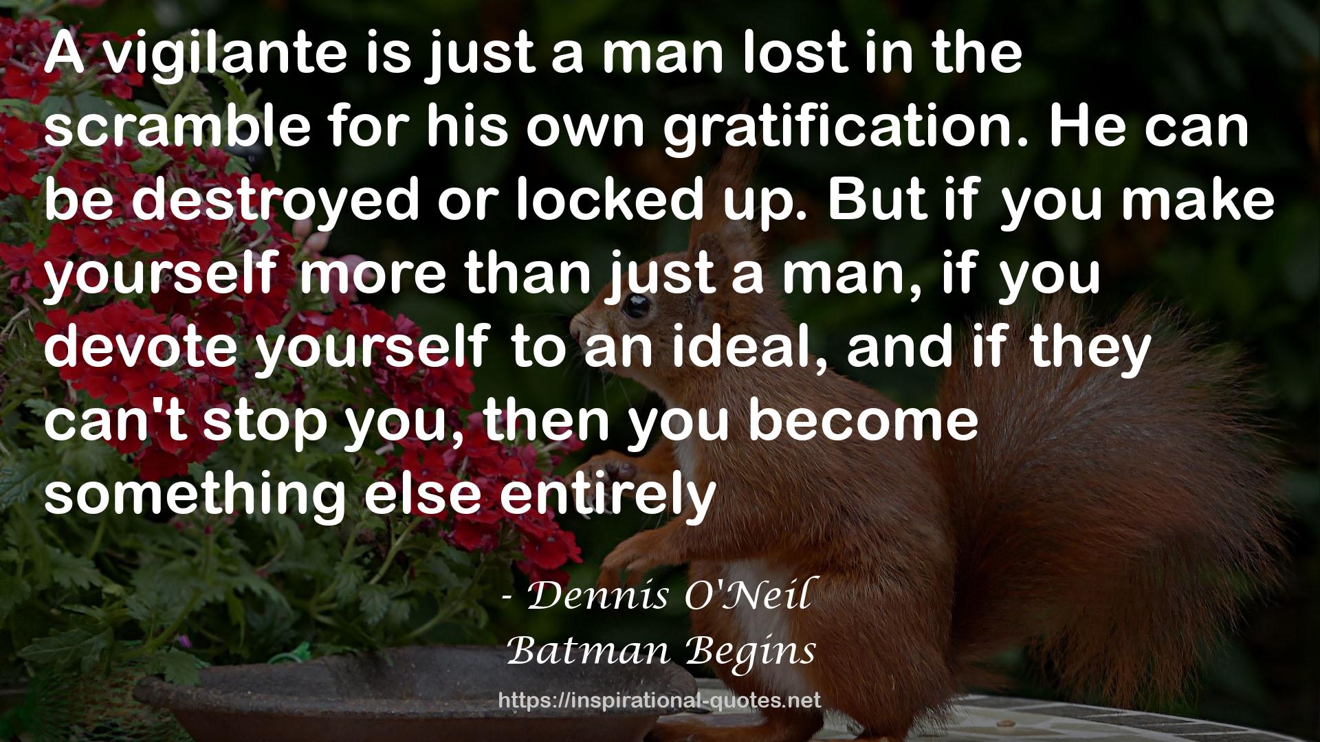 Dennis O'Neil QUOTES