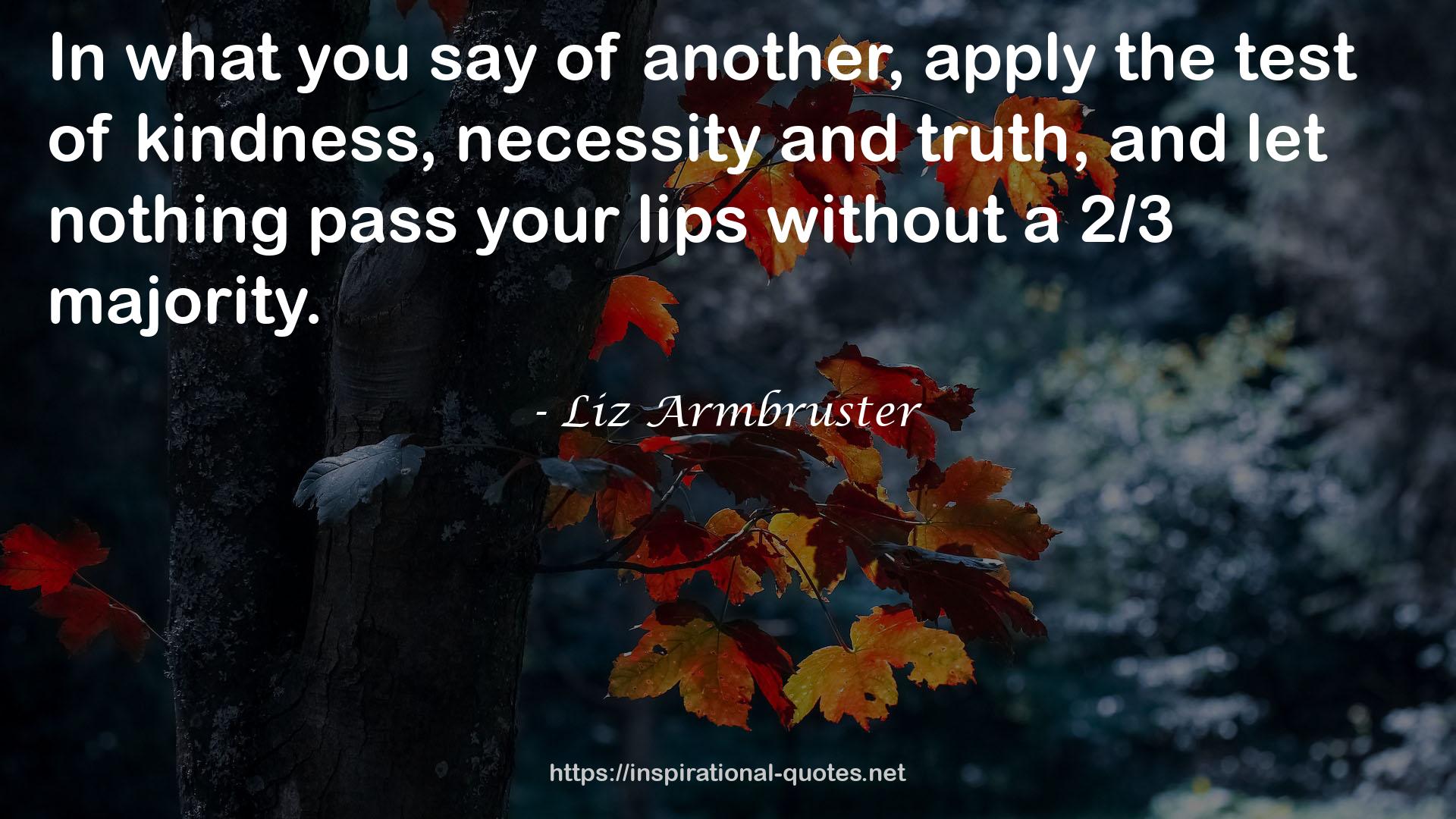 Liz Armbruster QUOTES