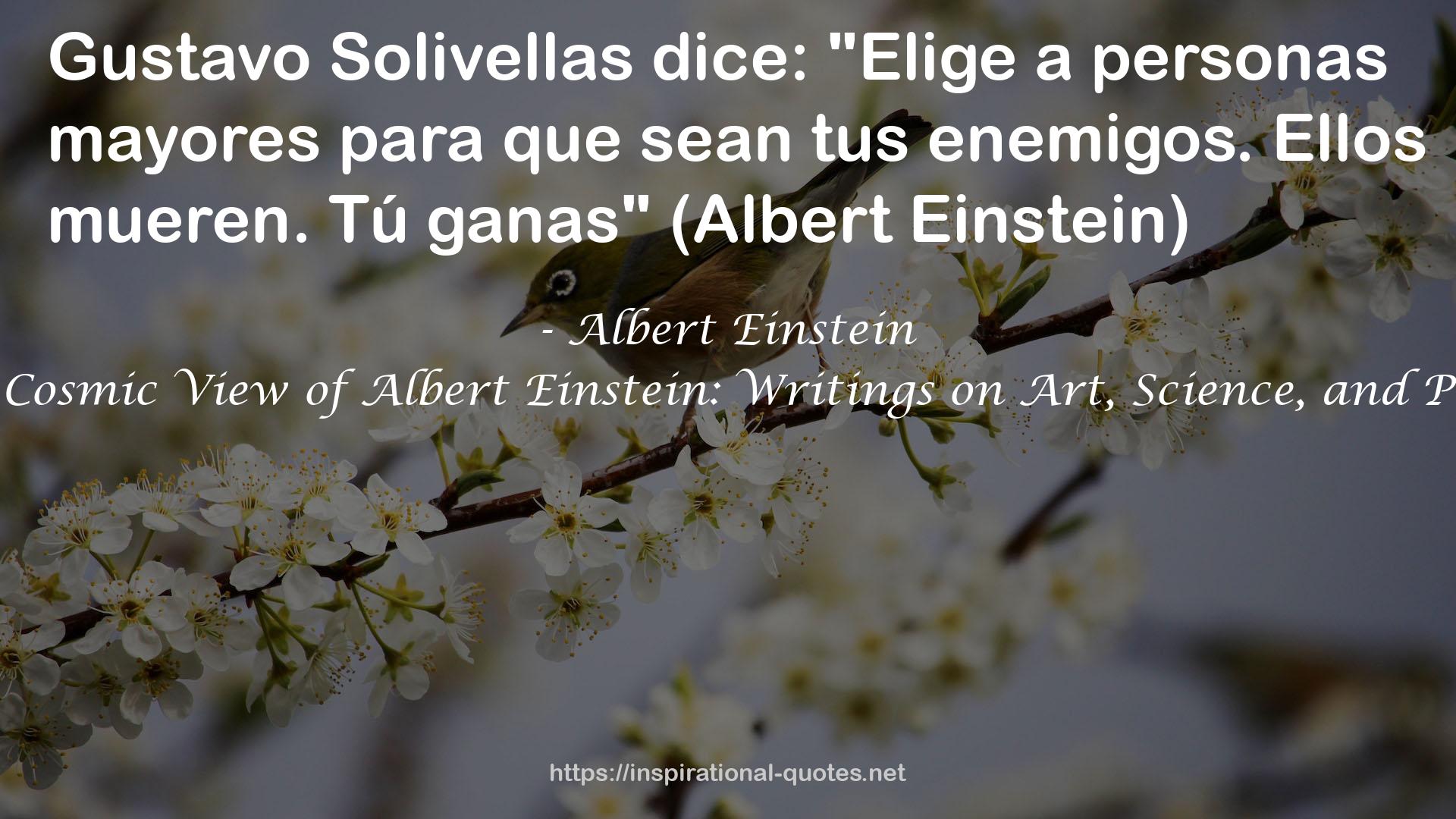 The Cosmic View of Albert Einstein: Writings on Art, Science, and Peace QUOTES
