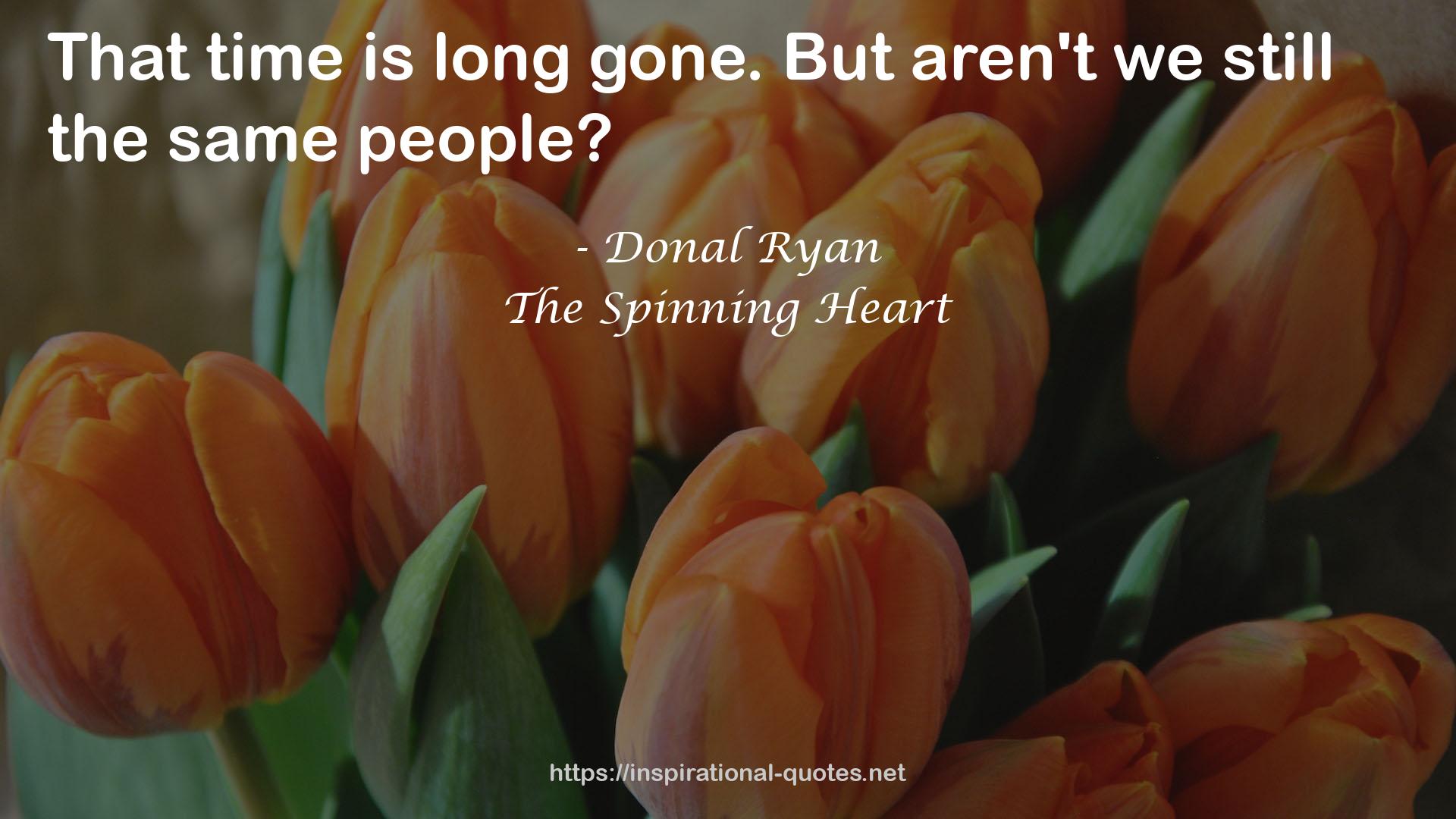 The Spinning Heart QUOTES