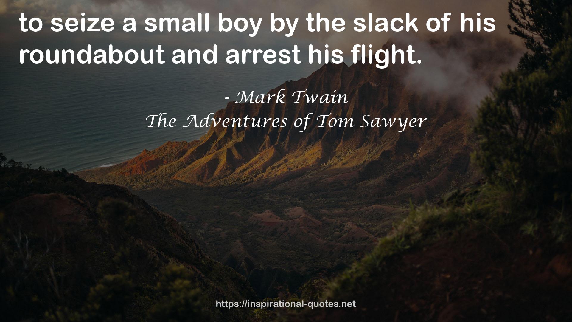 The Adventures of Tom Sawyer QUOTES