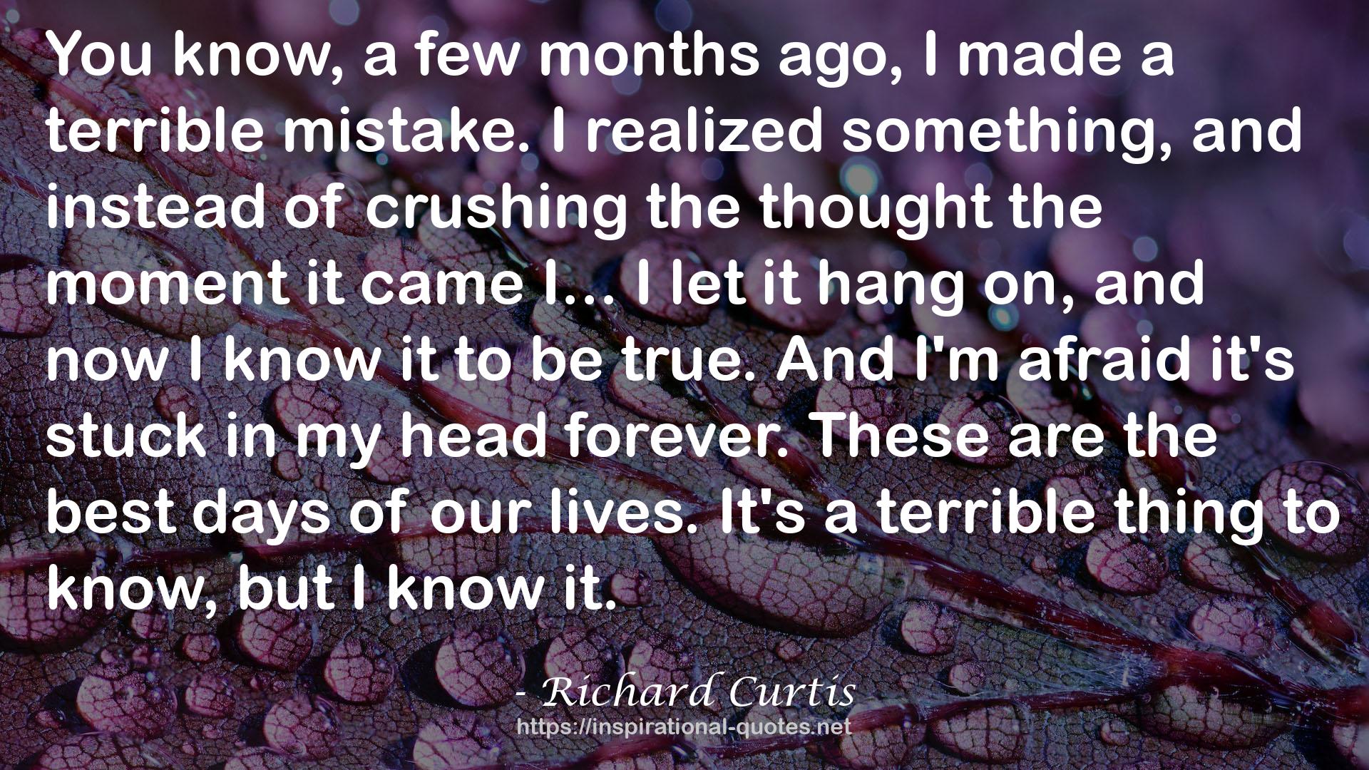 Richard Curtis QUOTES