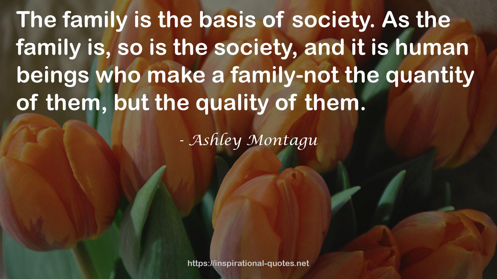 Ashley Montagu QUOTES