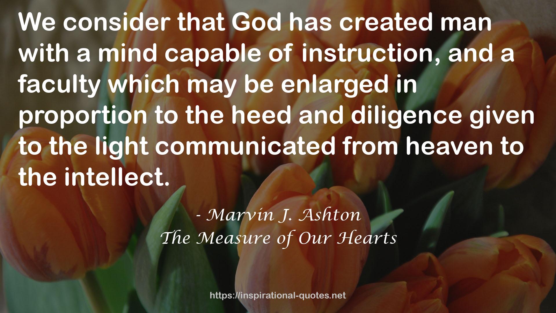 The Measure of Our Hearts QUOTES