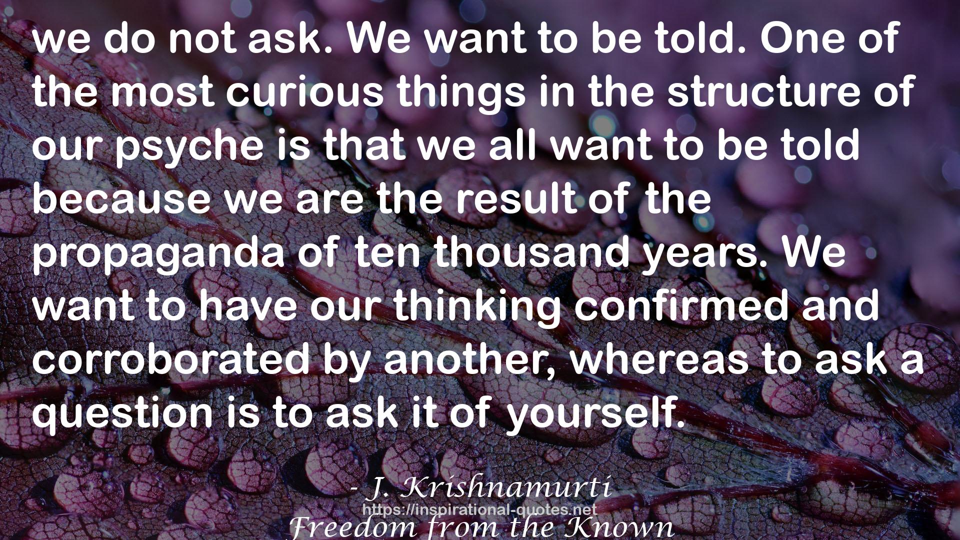 the most curious things  QUOTES