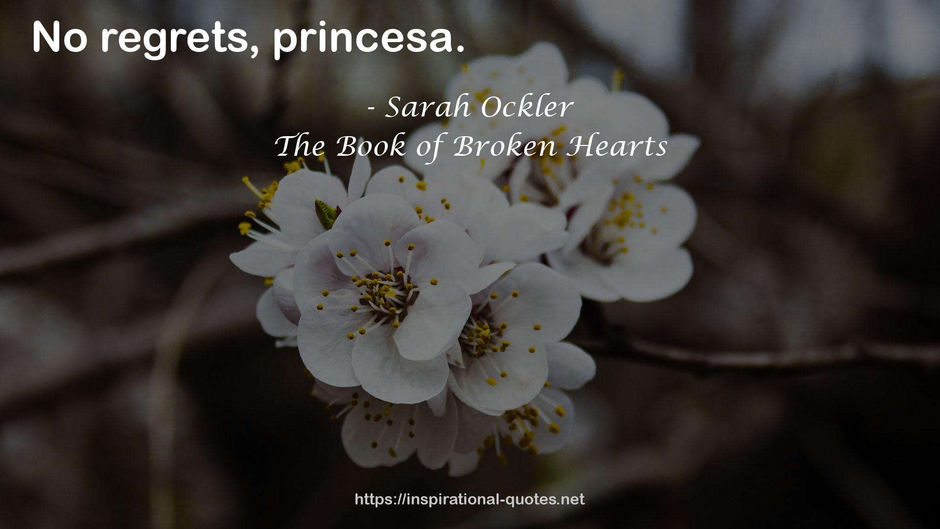 The Book of Broken Hearts QUOTES