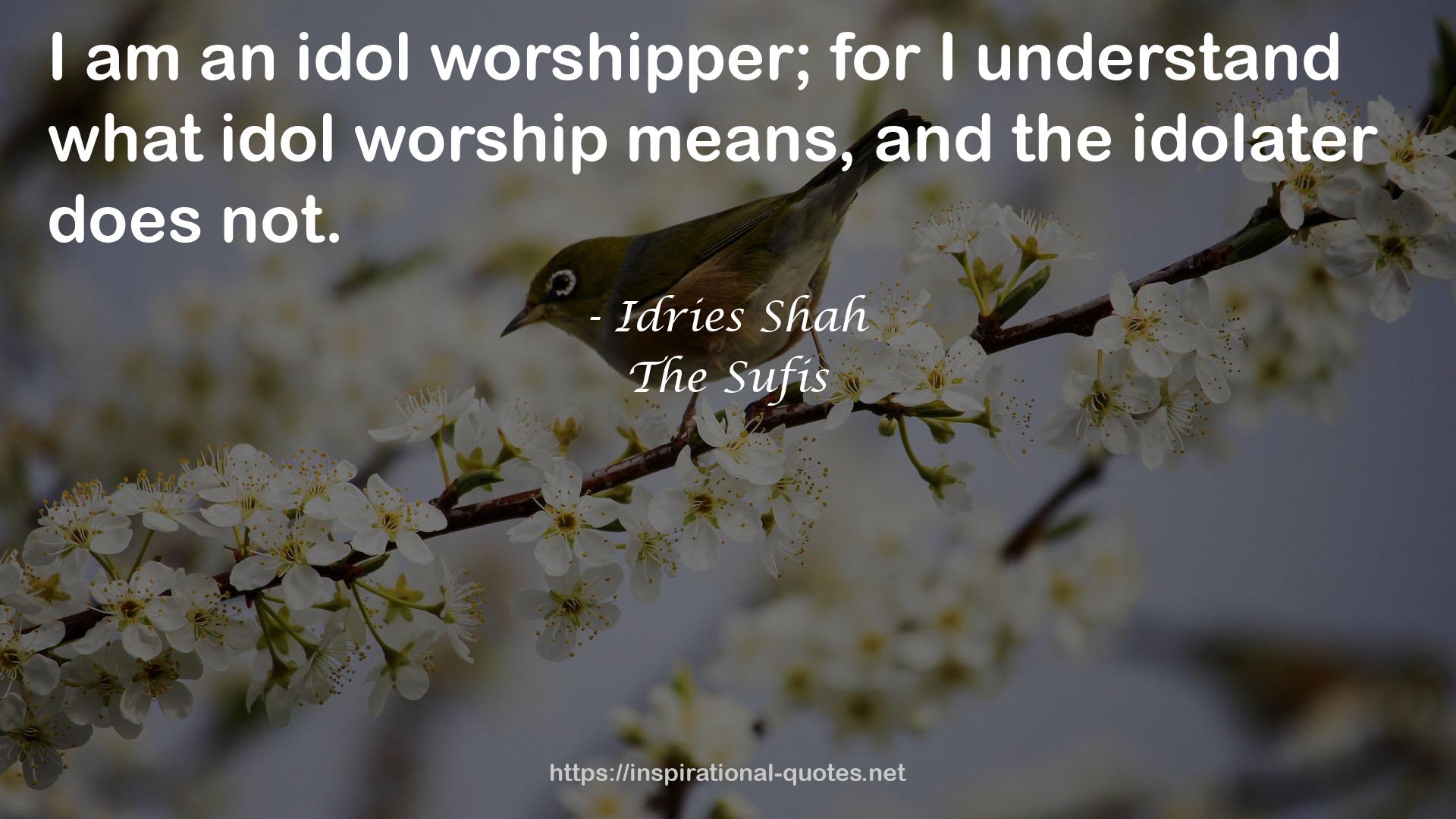 idol worship  QUOTES